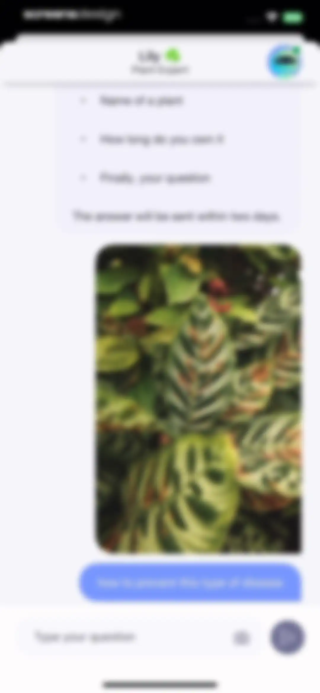 AI Plant Identifier・Care－Lily screen 54