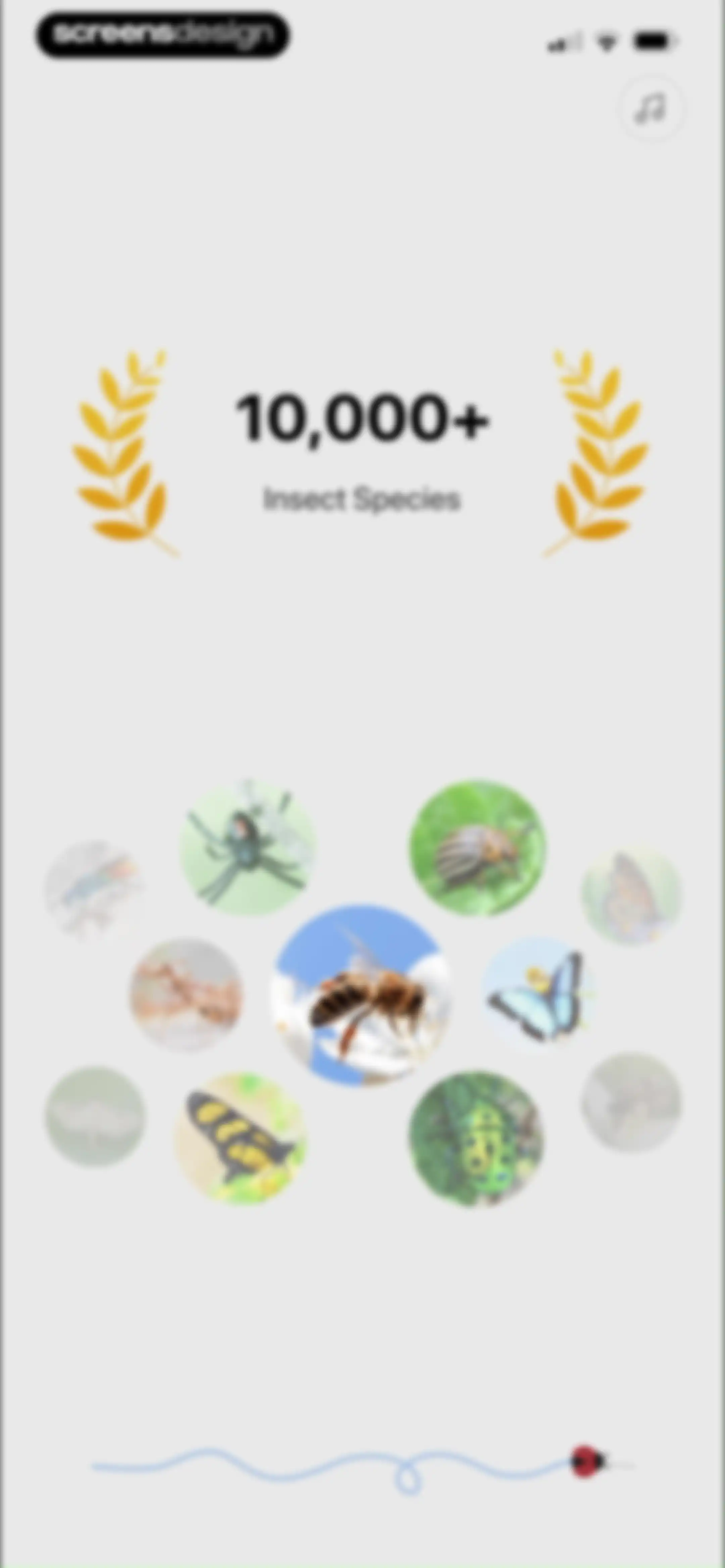 Picture Insect: Bug Identifier screen 9