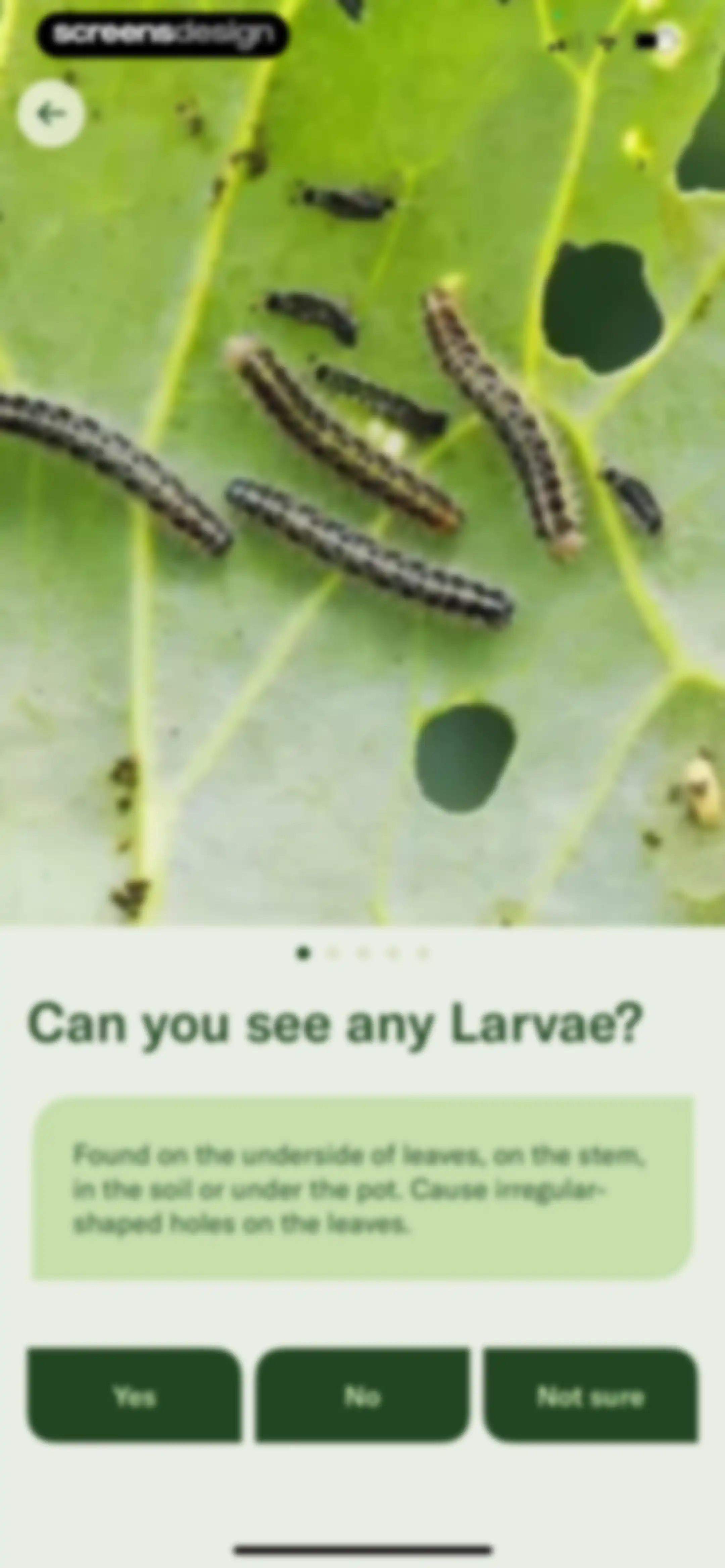 Planta: Plant & Garden Care screen 84