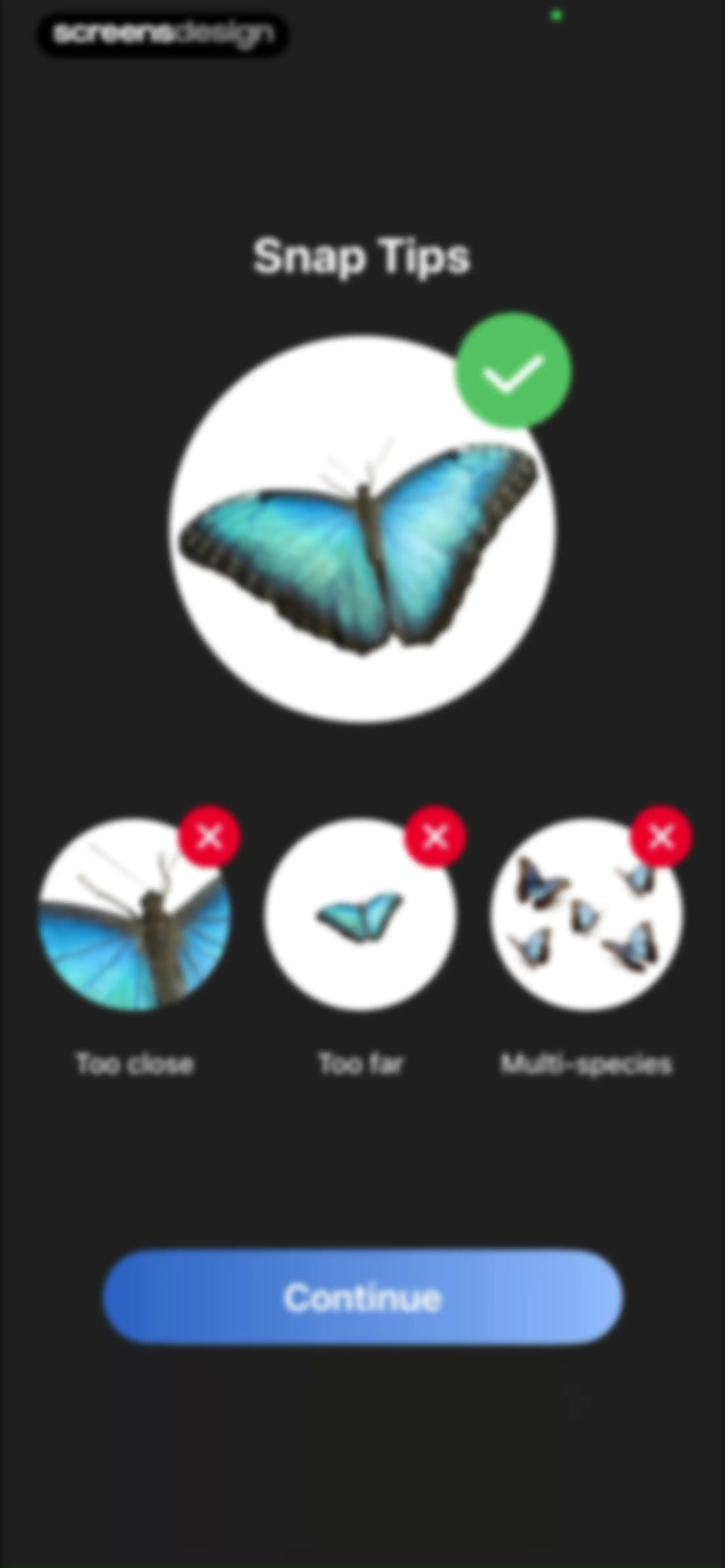 Picture Insect: Bug Identifier screen 90
