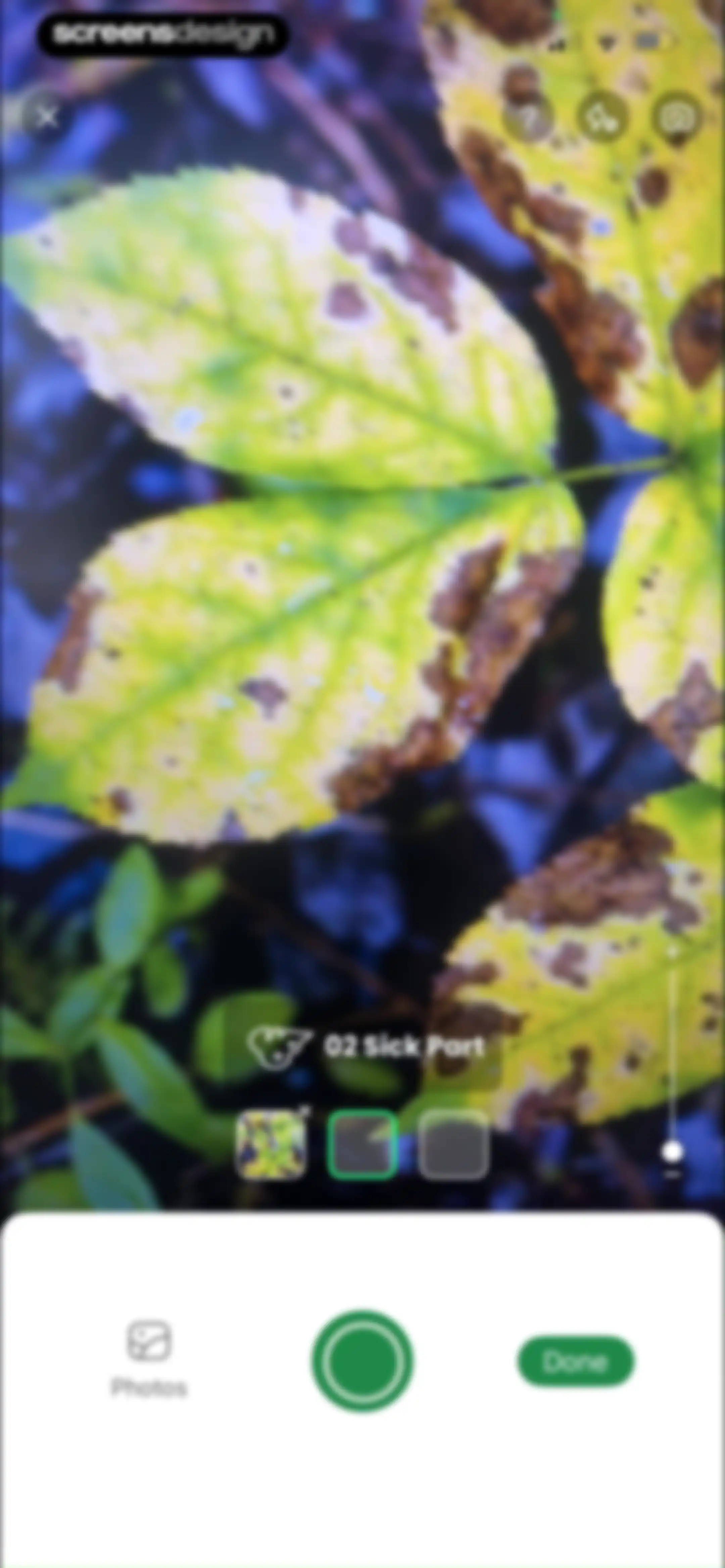 PlantAI: Identifier & Diagnose screen 74
