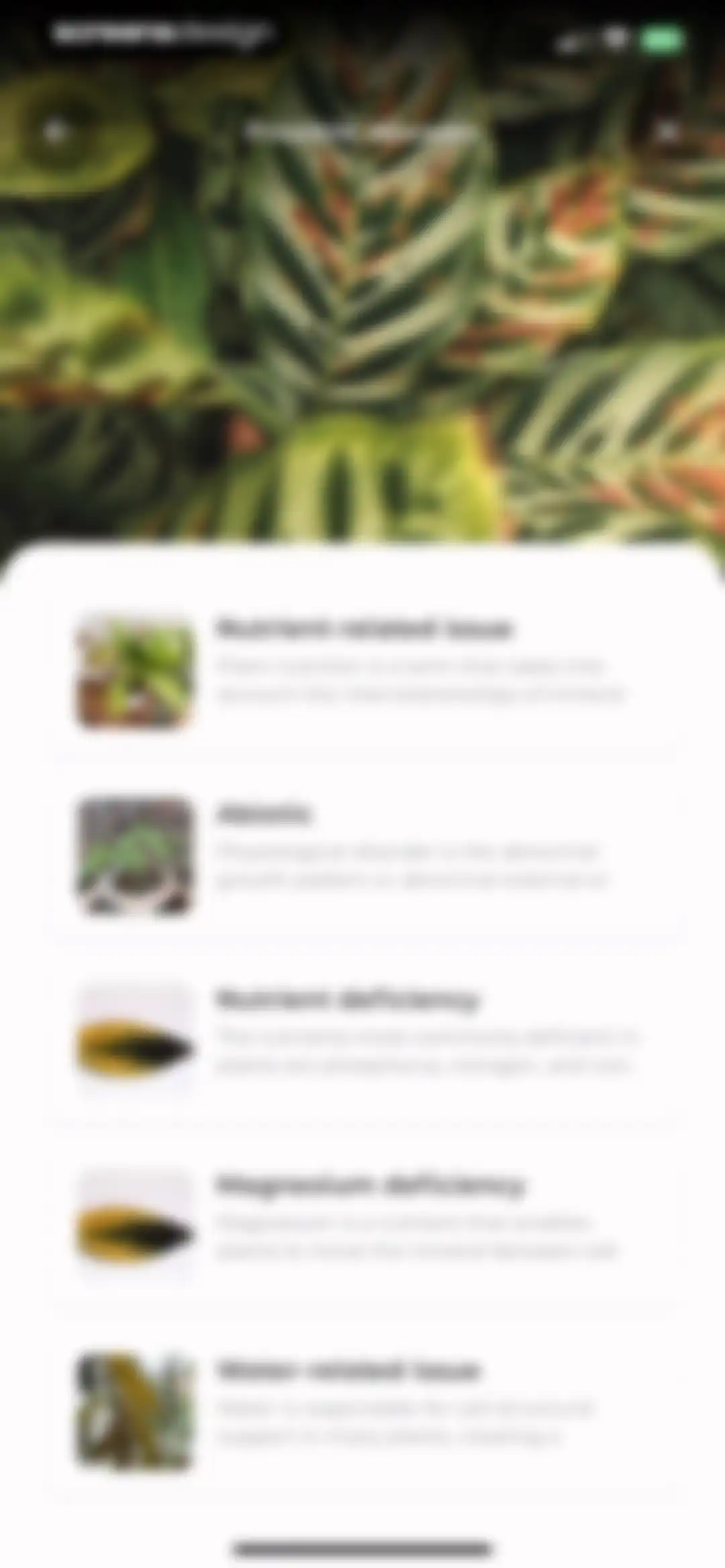 Plant Identifier: LeafSnap screen 35