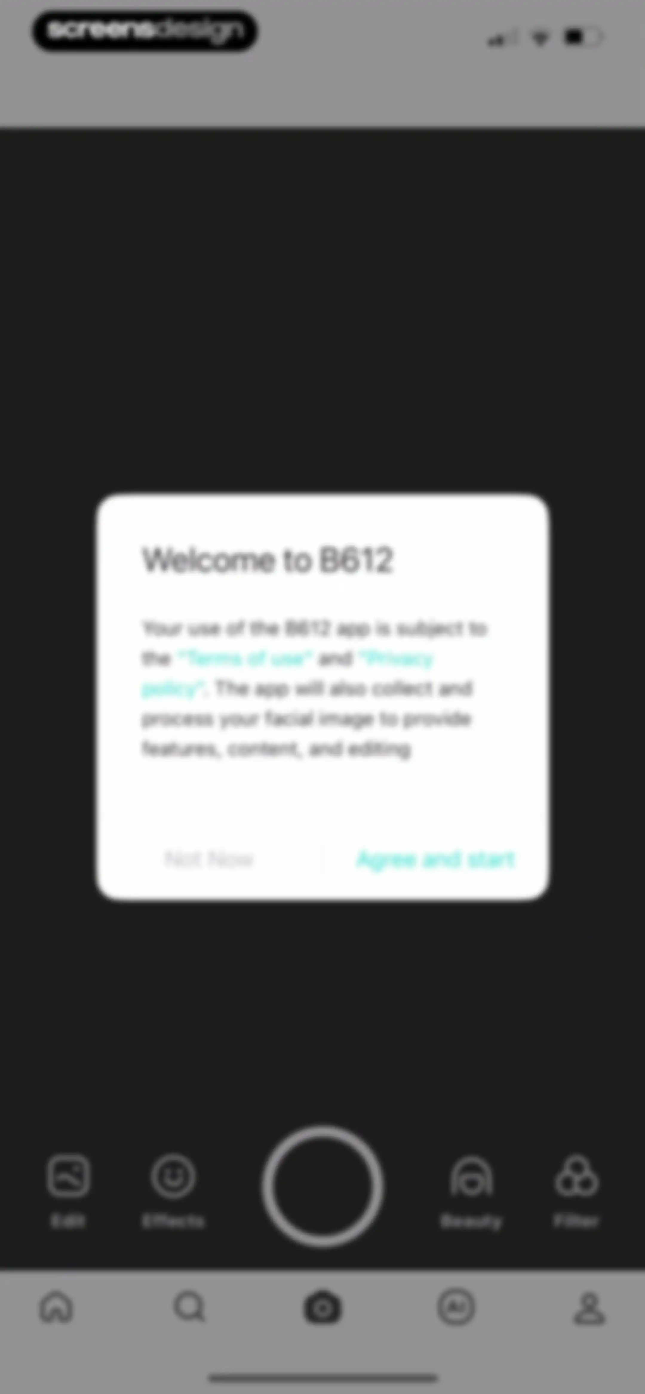 B612 AI Photo&Video Editor screen 2