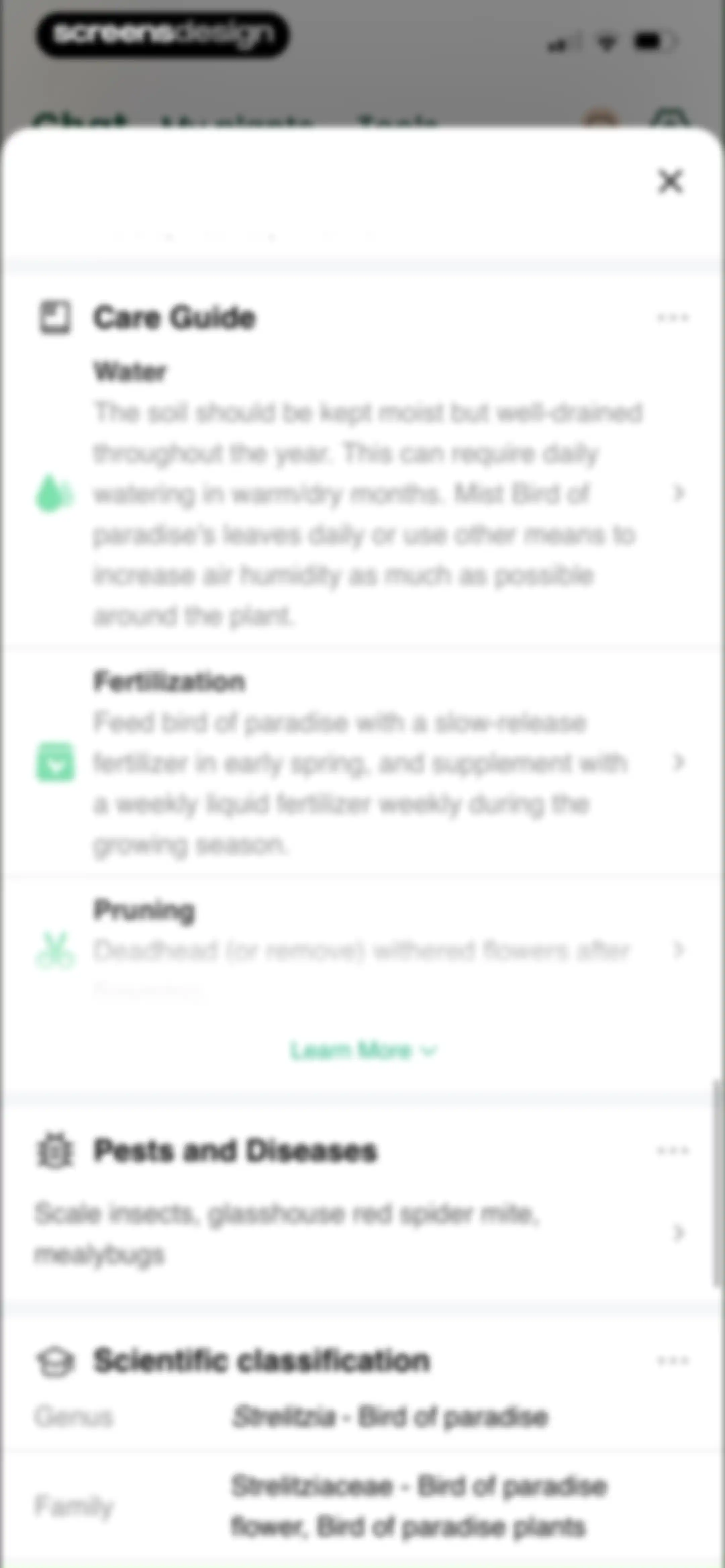 PlantAI: Identifier & Diagnose screen 36