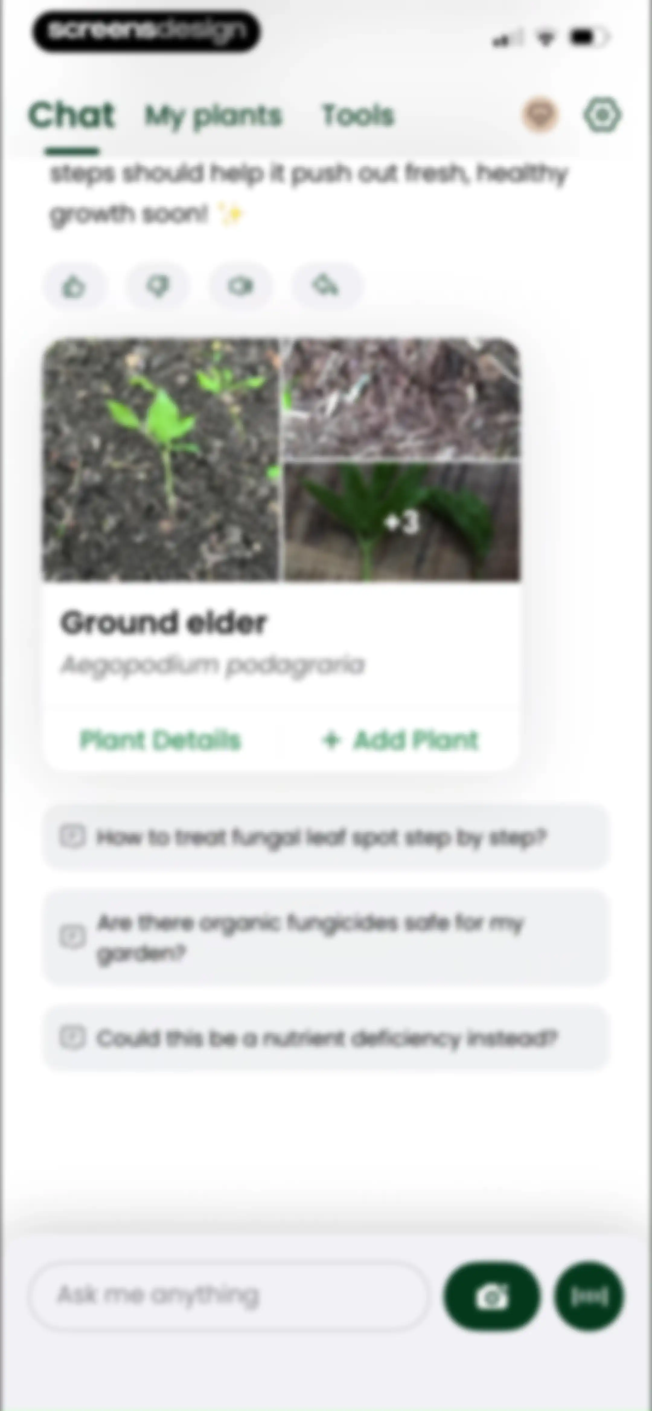 PlantAI: Identifier & Diagnose screen 77