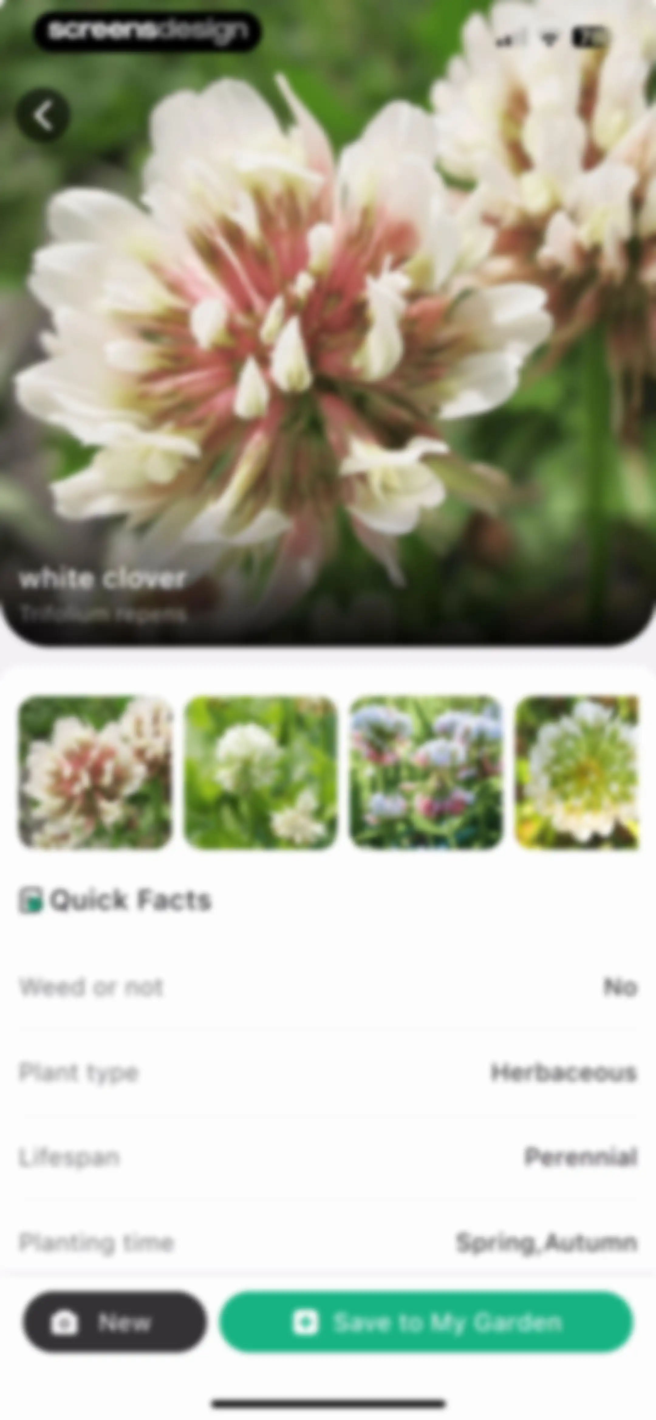 Plant Identifier: ChatPlant AI screen 51
