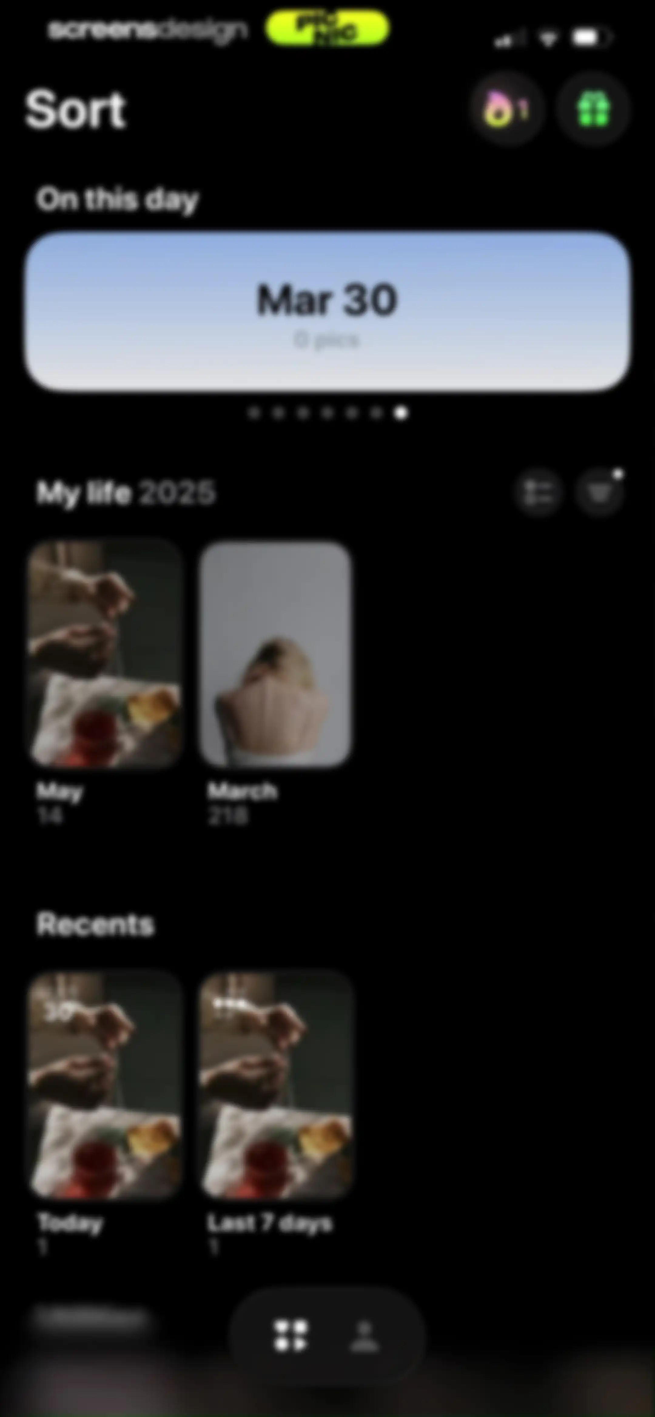 Photo Organizer: Picnic screen 35