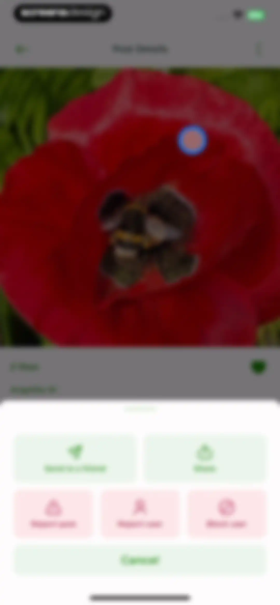 PlantSnap - Plant Scanner screen 15
