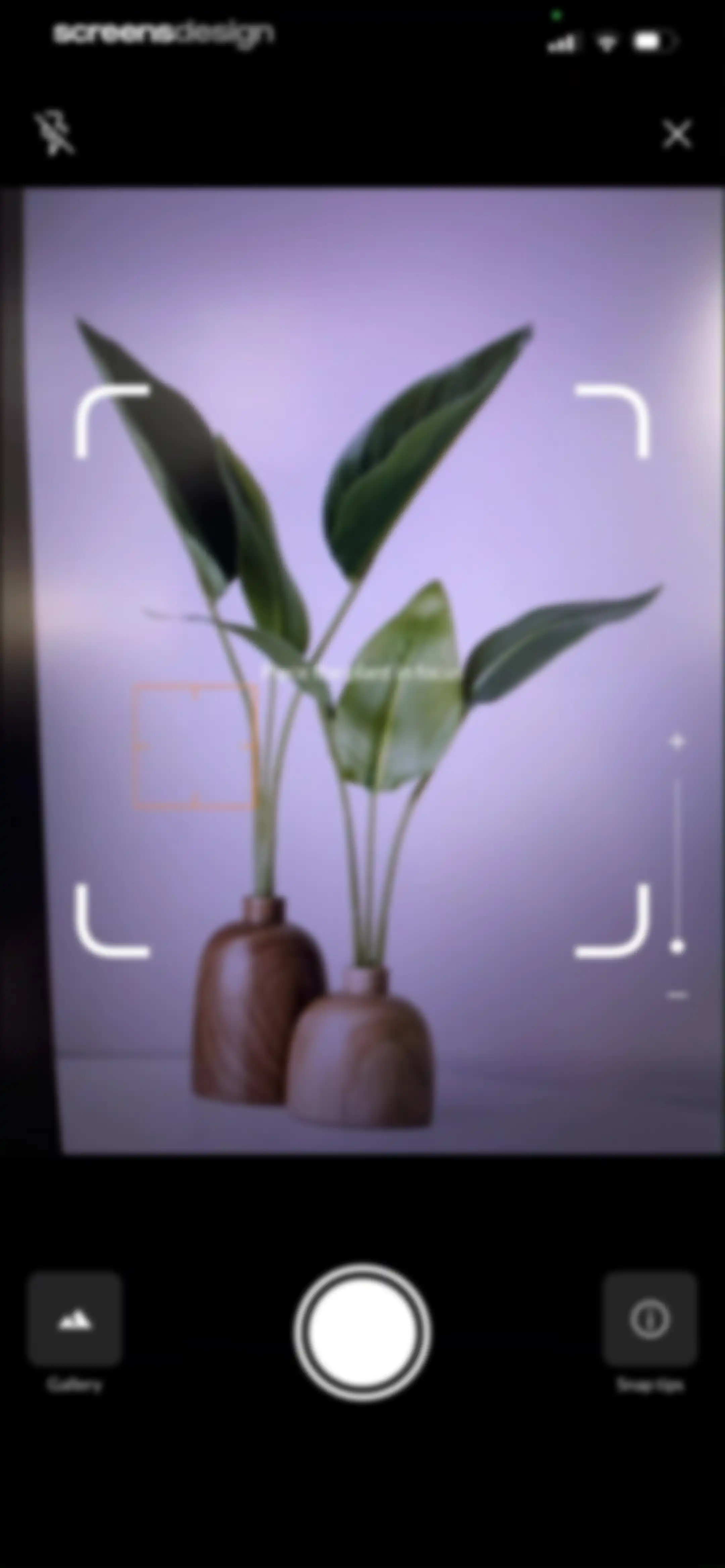 Plant Identification－Plantaria screen 21