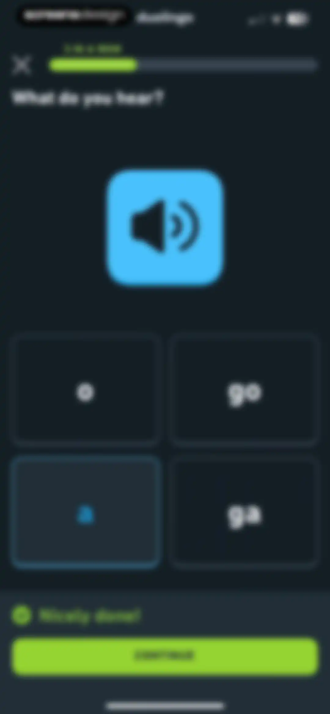 Duolingo: Language Lessons screen 24
