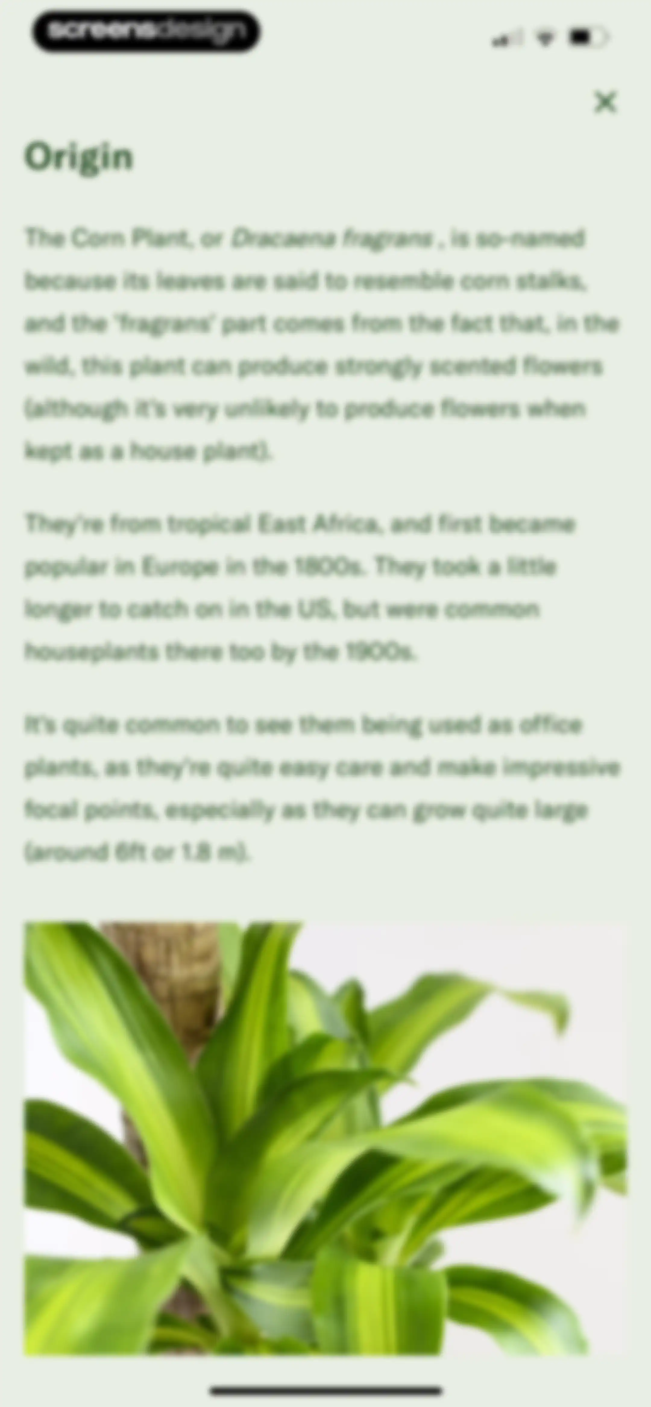 Planta: Plant & Garden Care screen 134