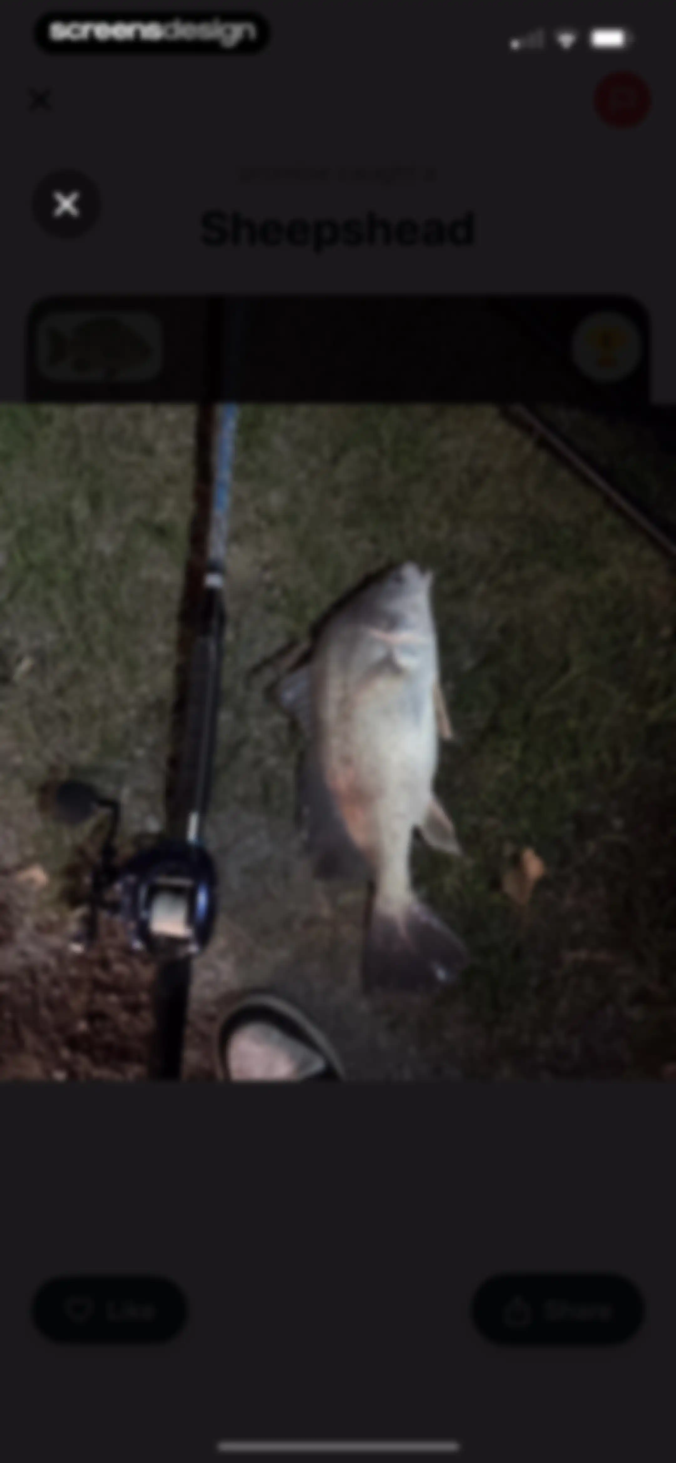 Catchr: Fish Identifier screen 45
