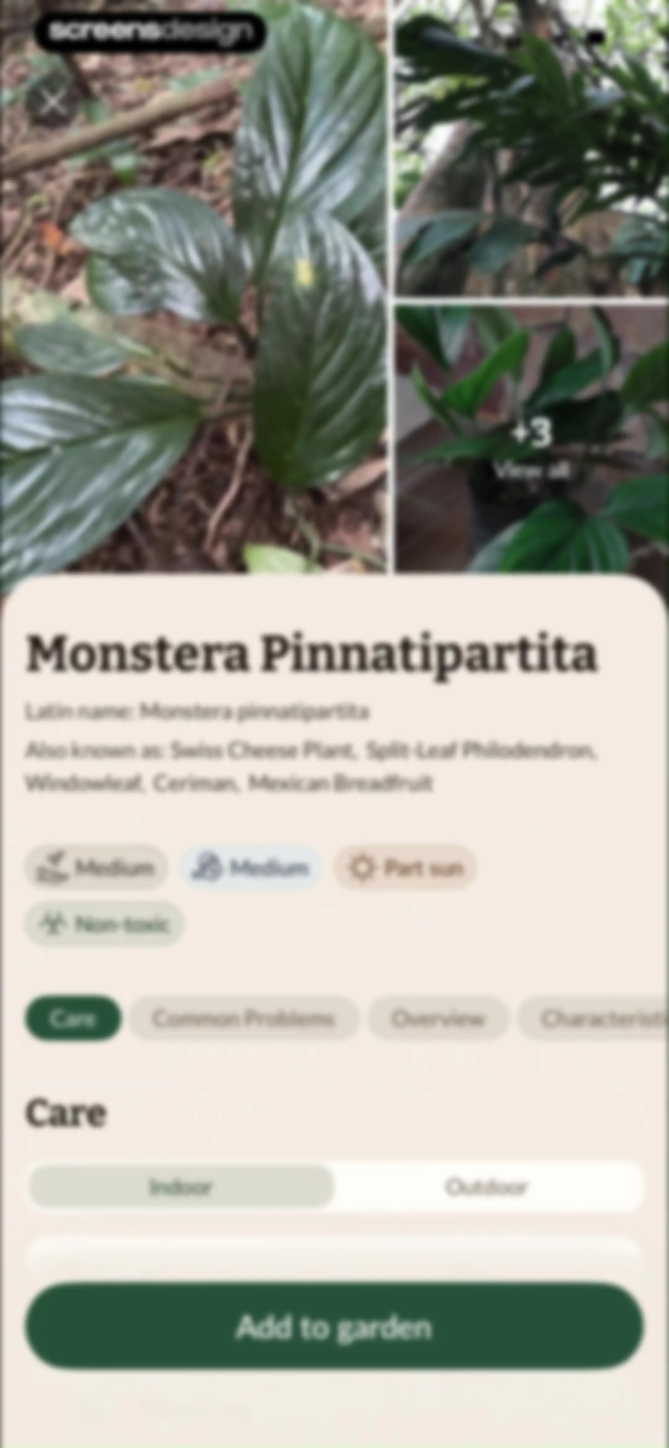 Plant Identification－Plantaria screen 39