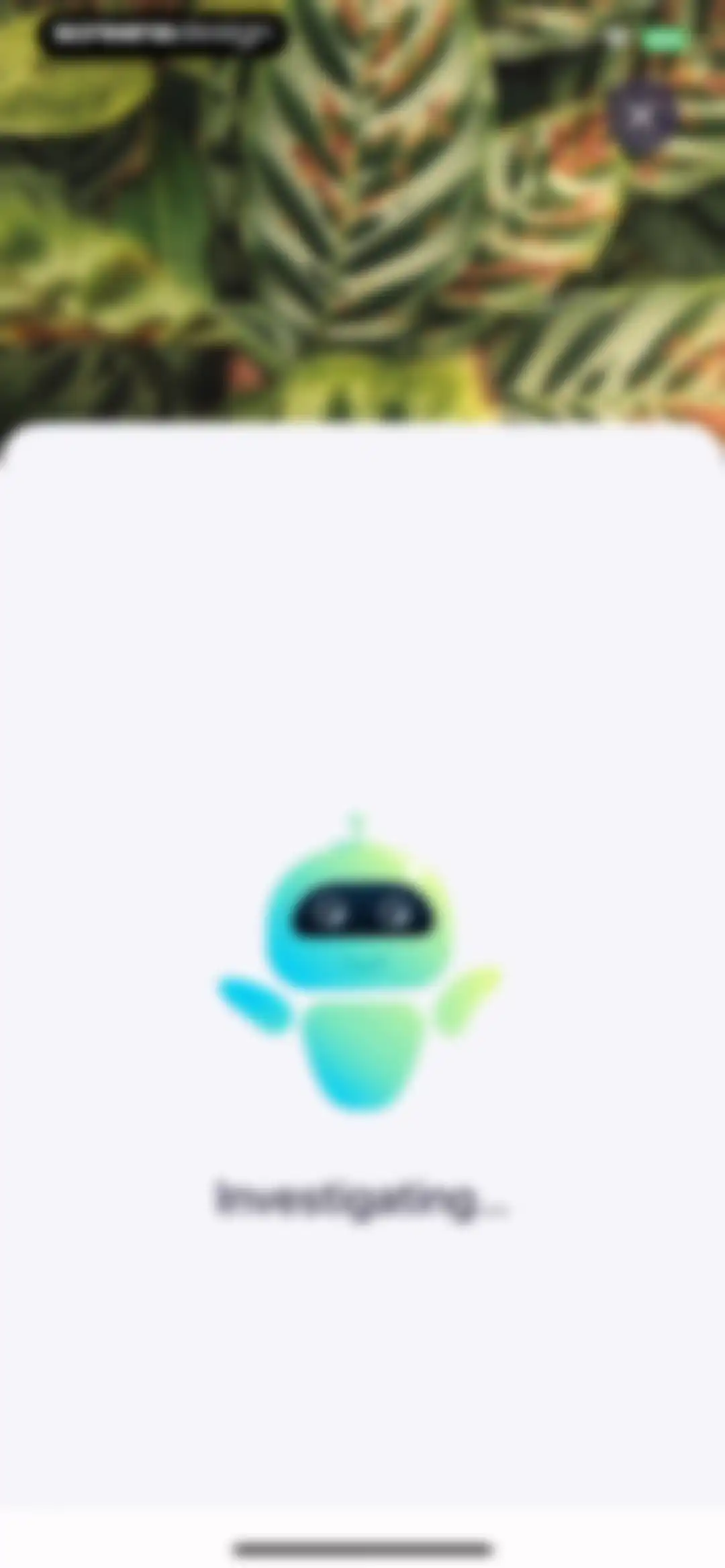 AI Plant Identifier・Care－Lily screen 33