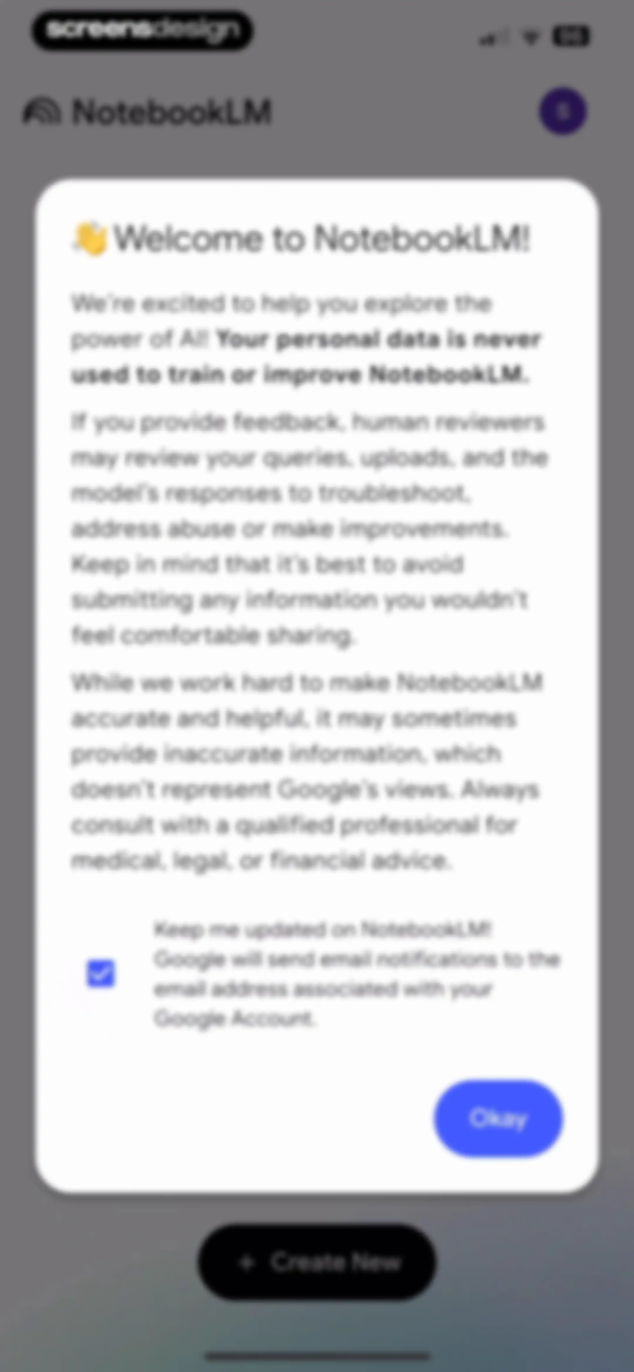 Google NotebookLM screen 6