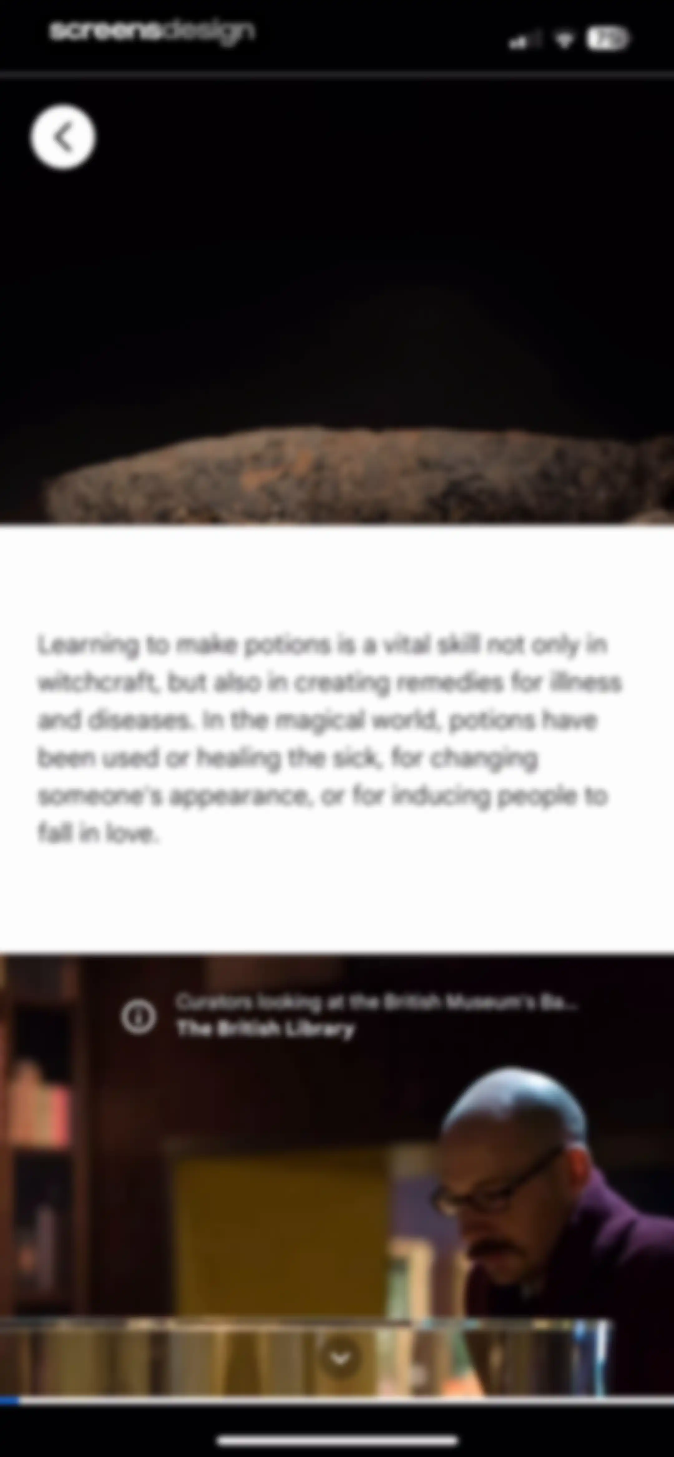 Google Arts & Culture screen 46