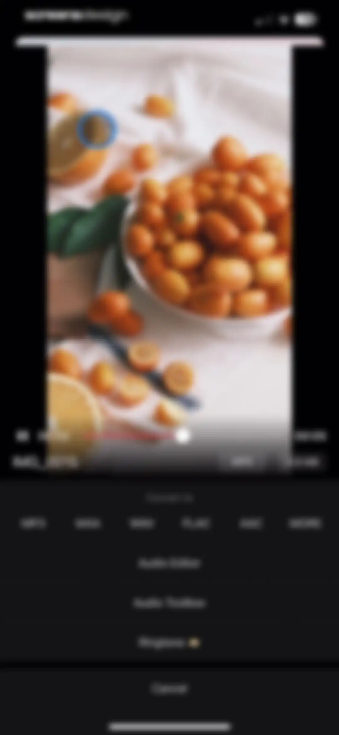 Audio Editor: MP3 Converter screen 77