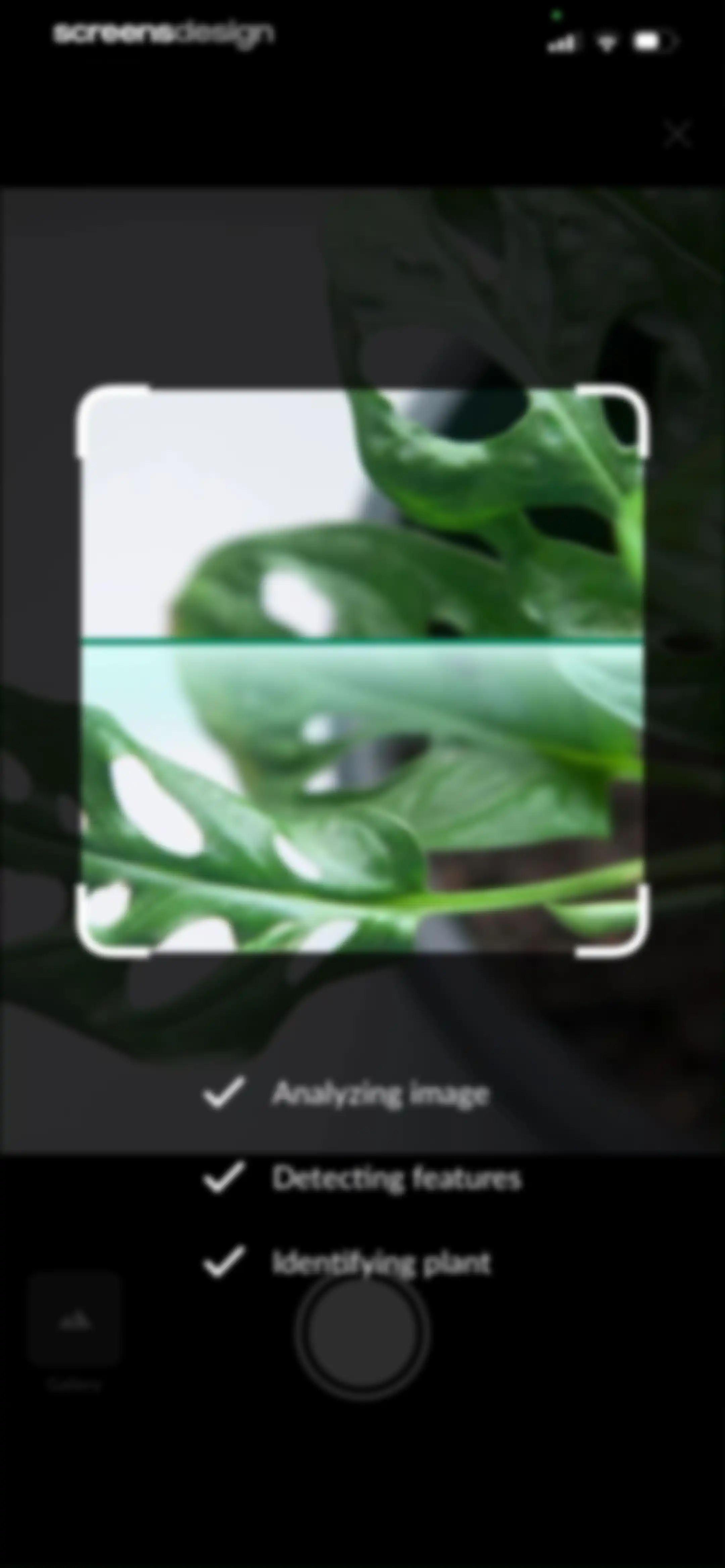 Plant Identification－Plantaria screen 27