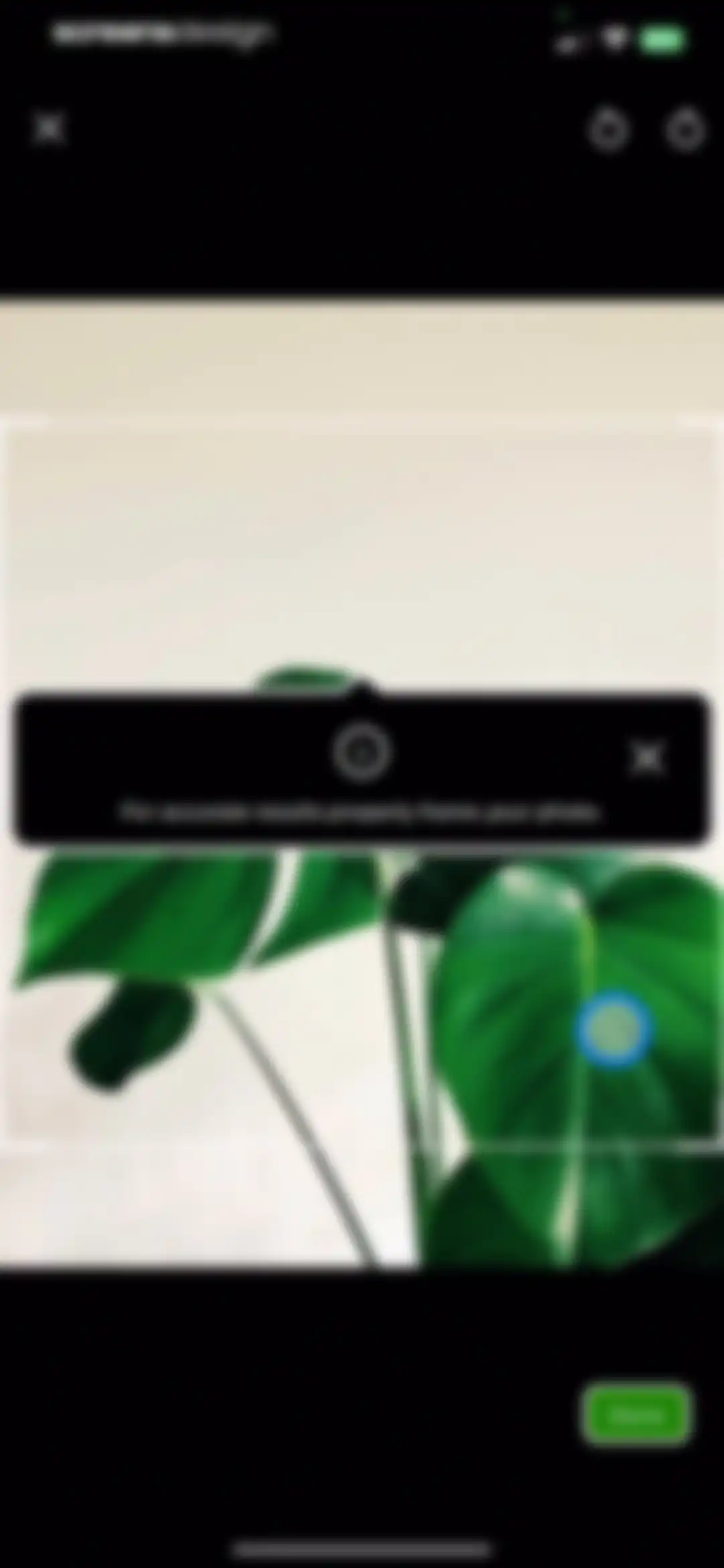 PlantSnap - Plant Scanner screen 38