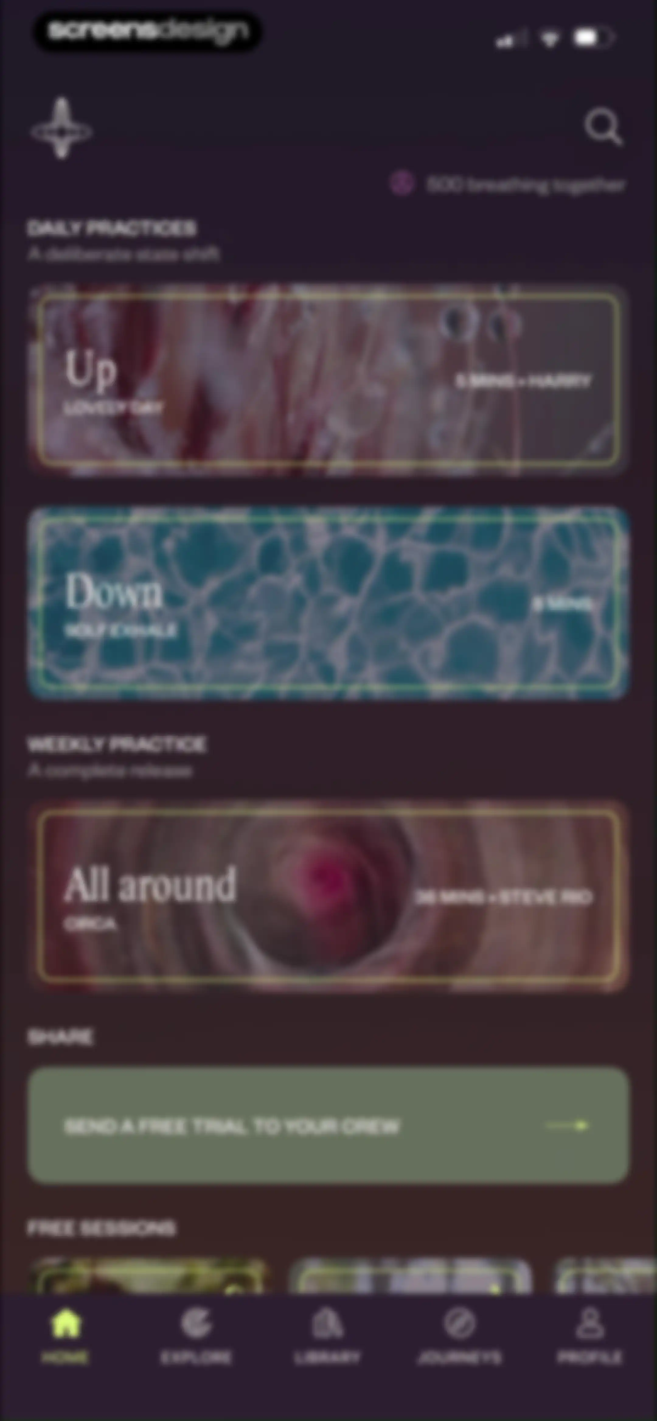 Othership: Guided Breathwork screen 16