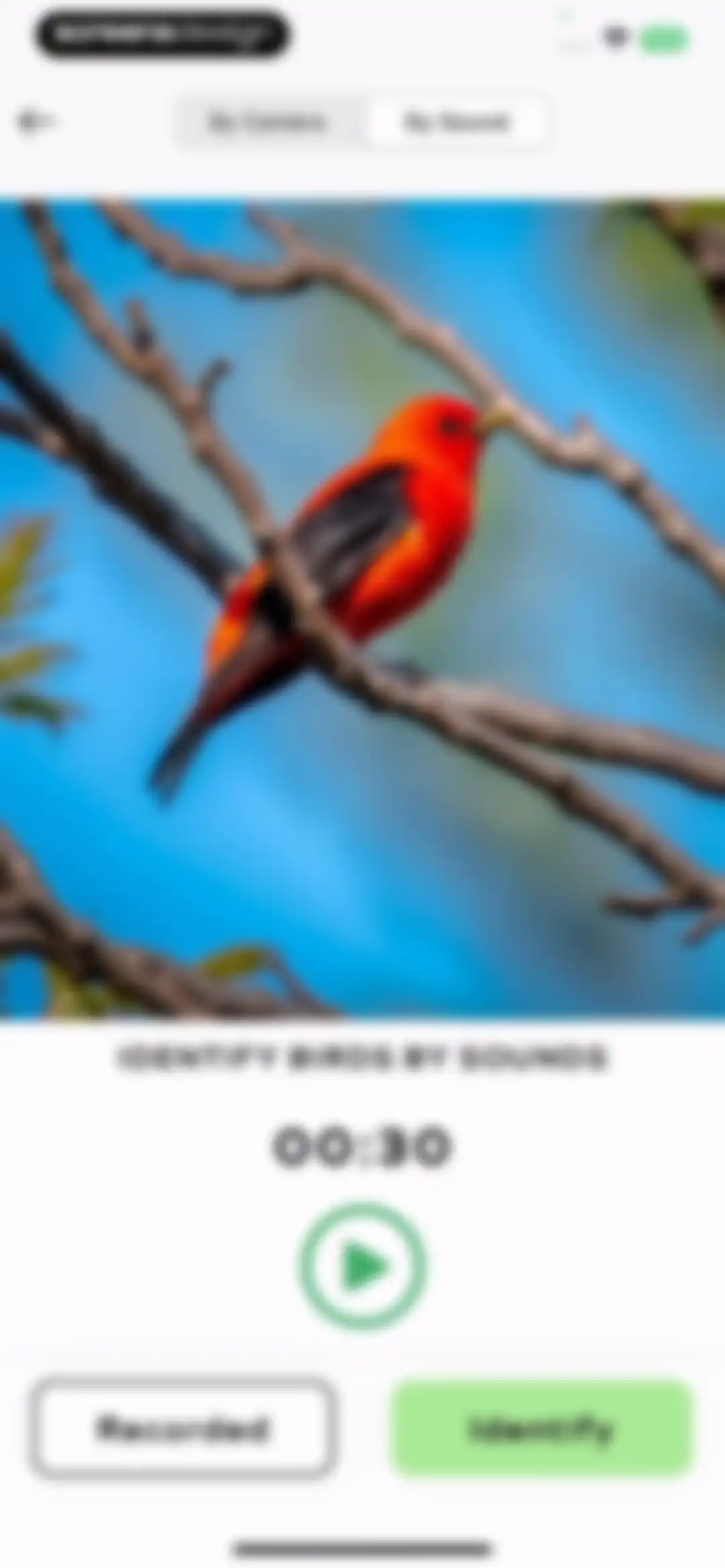 Bird Sounds Identifier Call ID screen 25