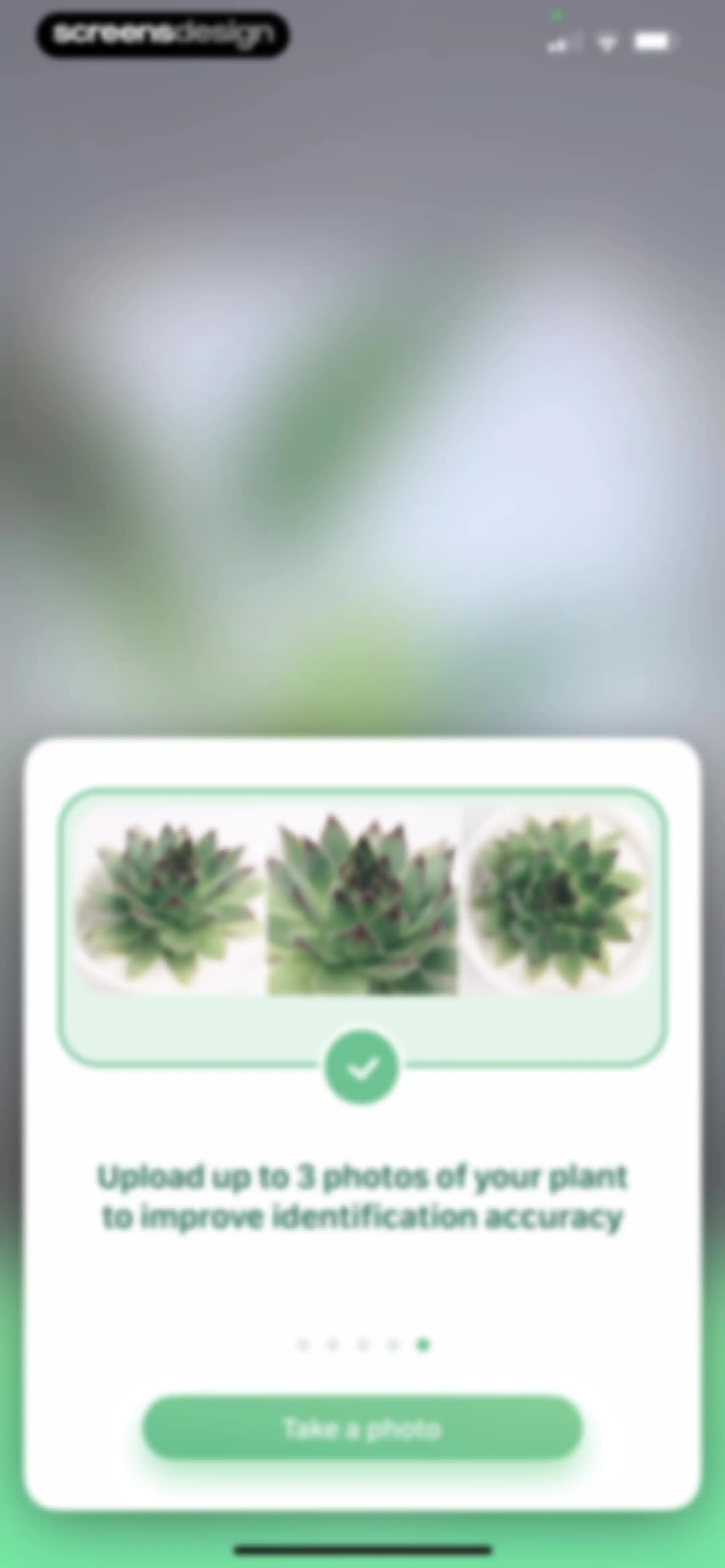 Blossom - Plant Care Guide screen 97