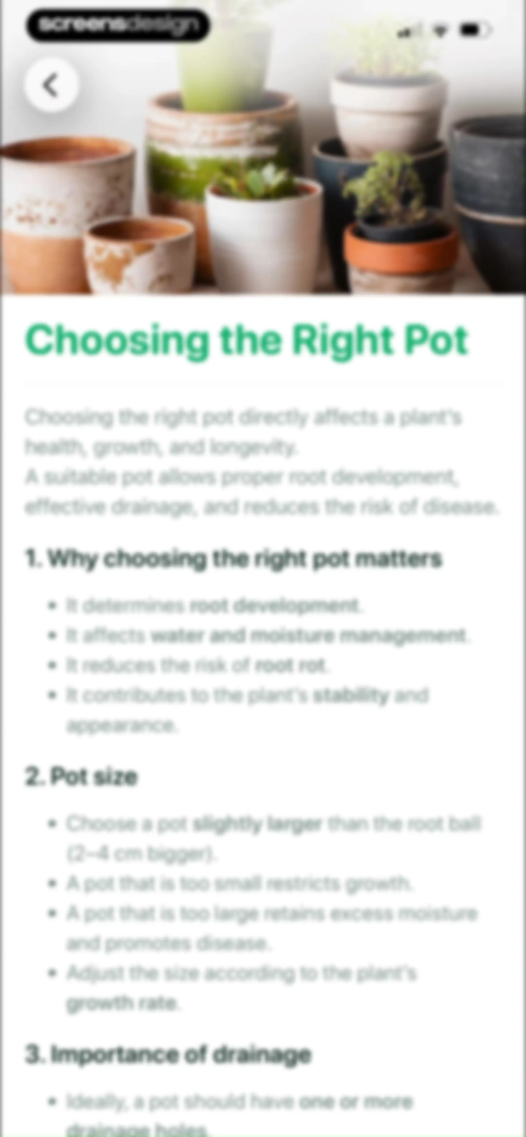 Planto: Plant Identifier screen 37