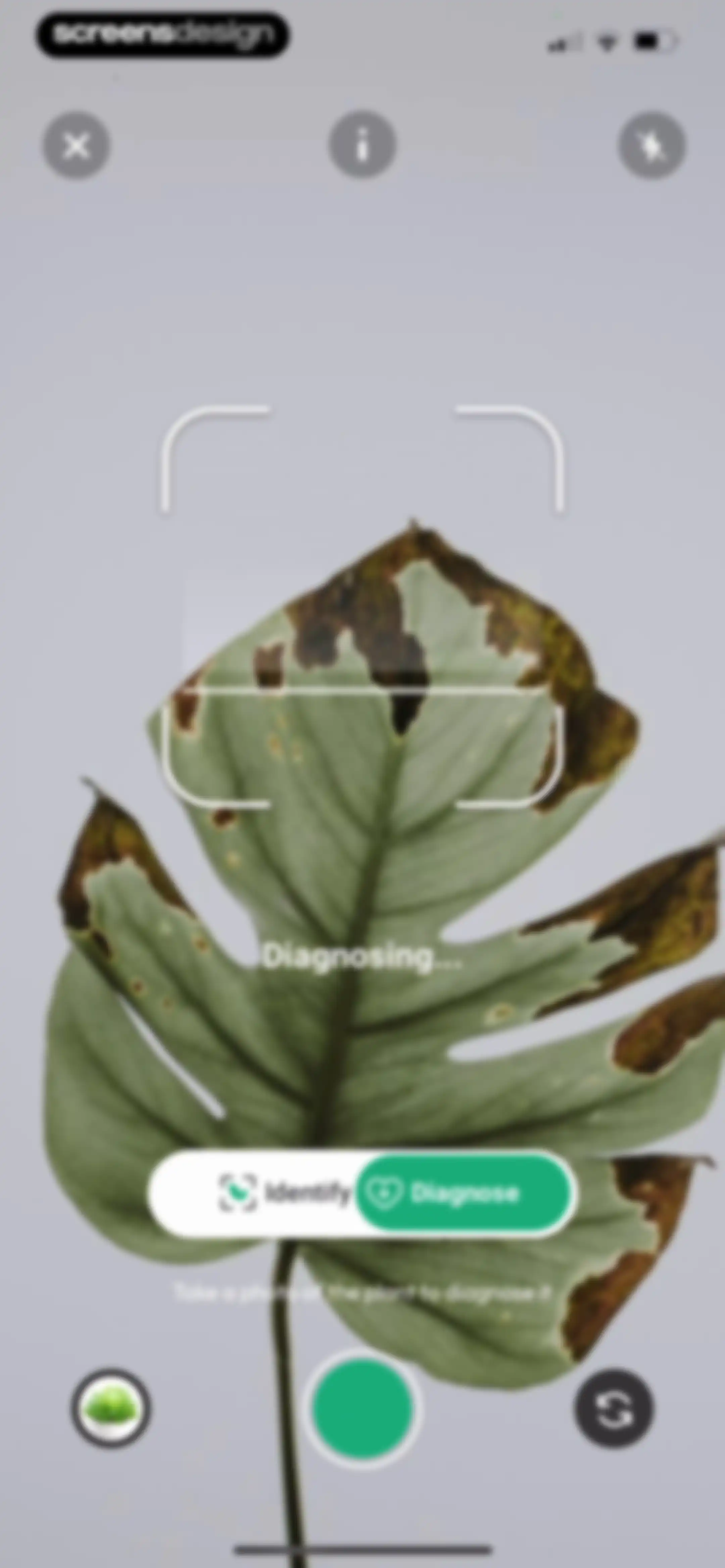 PlantDaily: AI Plant Care screen 73
