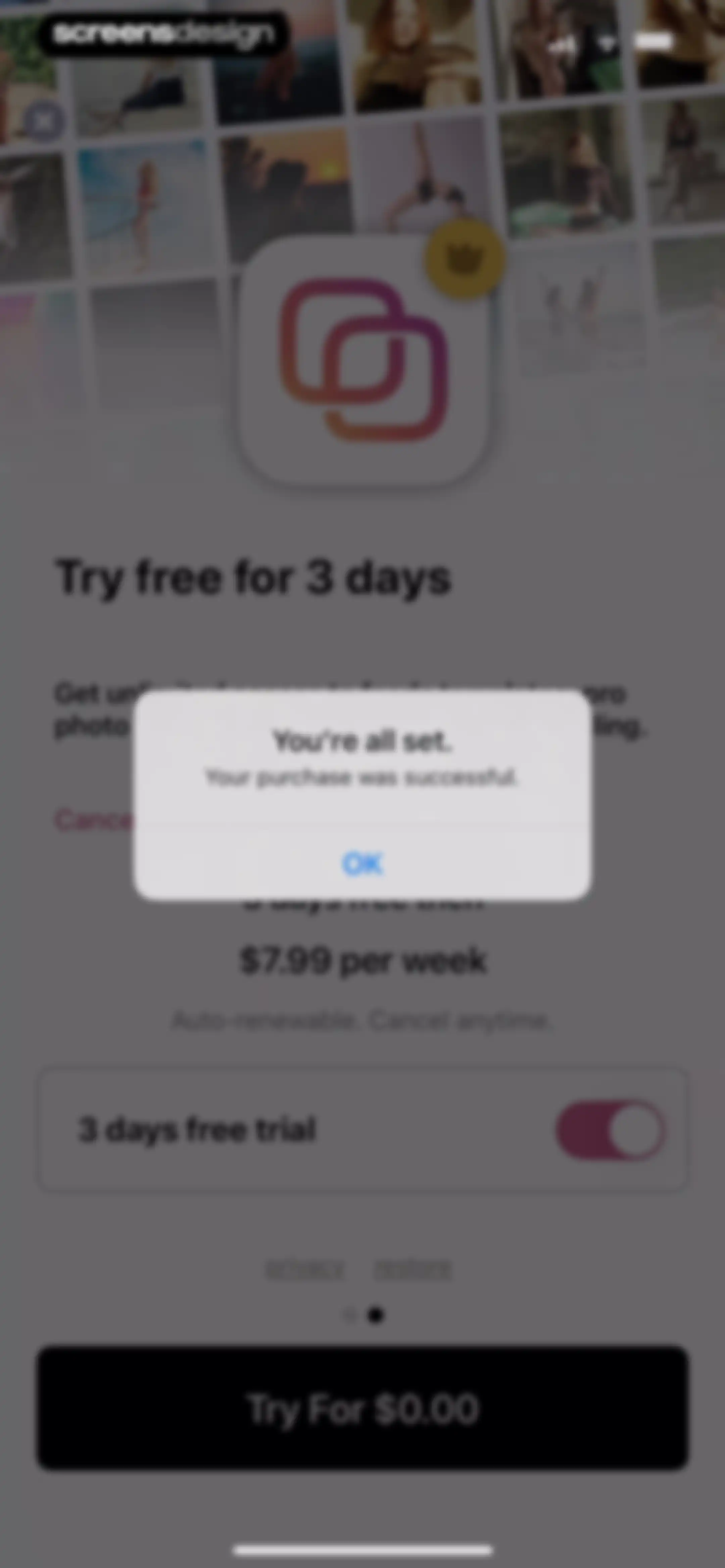 Feed Preview: Planner for IG screen 17