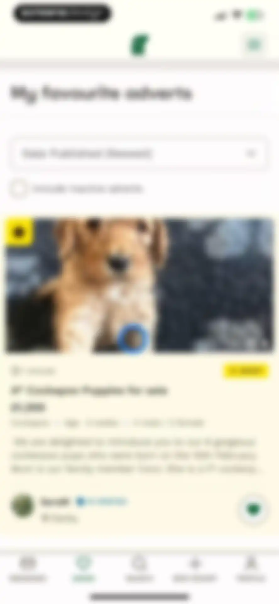 Pets4Homes: Dogs, Cats, Pets screen 28