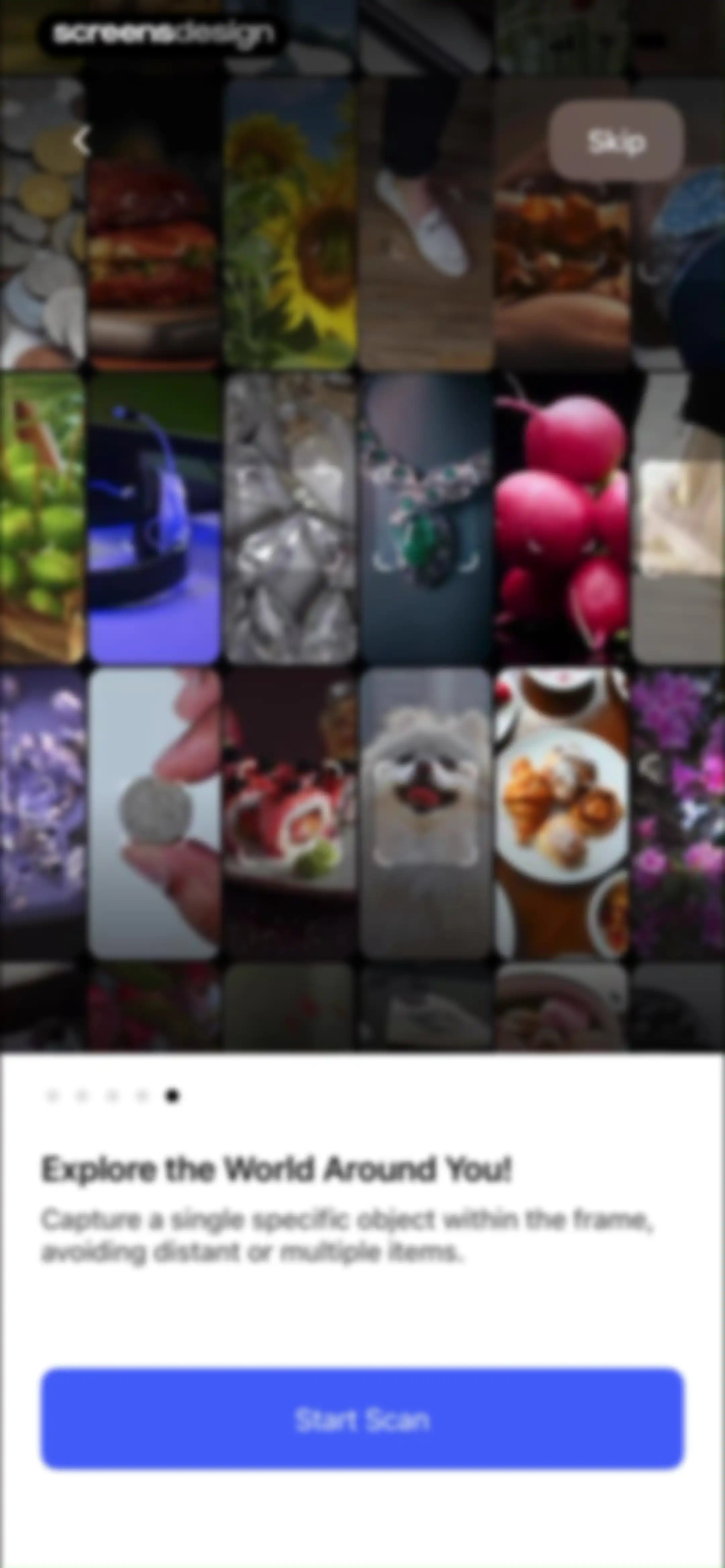 LensAI・Identifier・Image Search screen 39