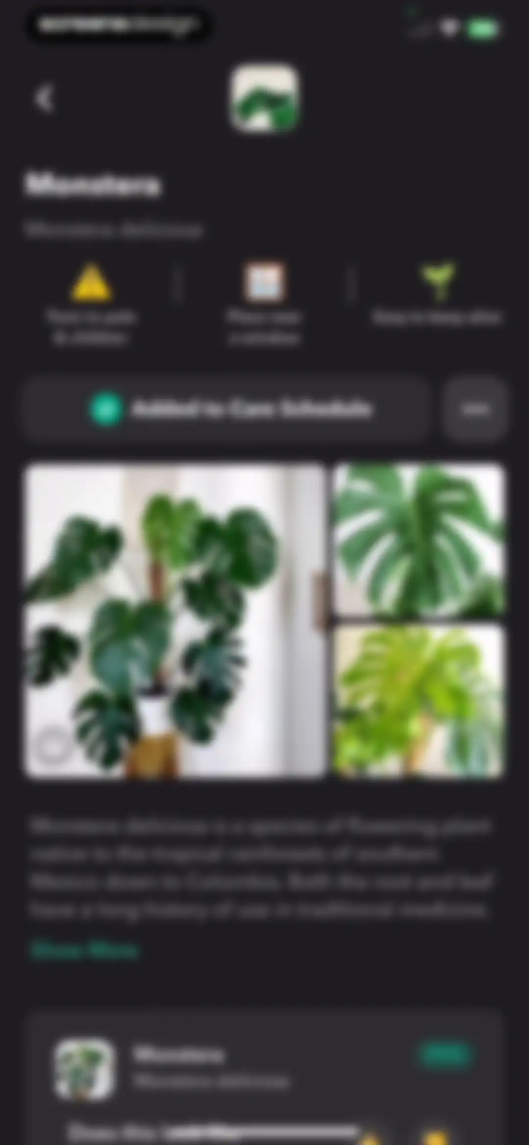 Greg: Plant Identifier & Care screen 44