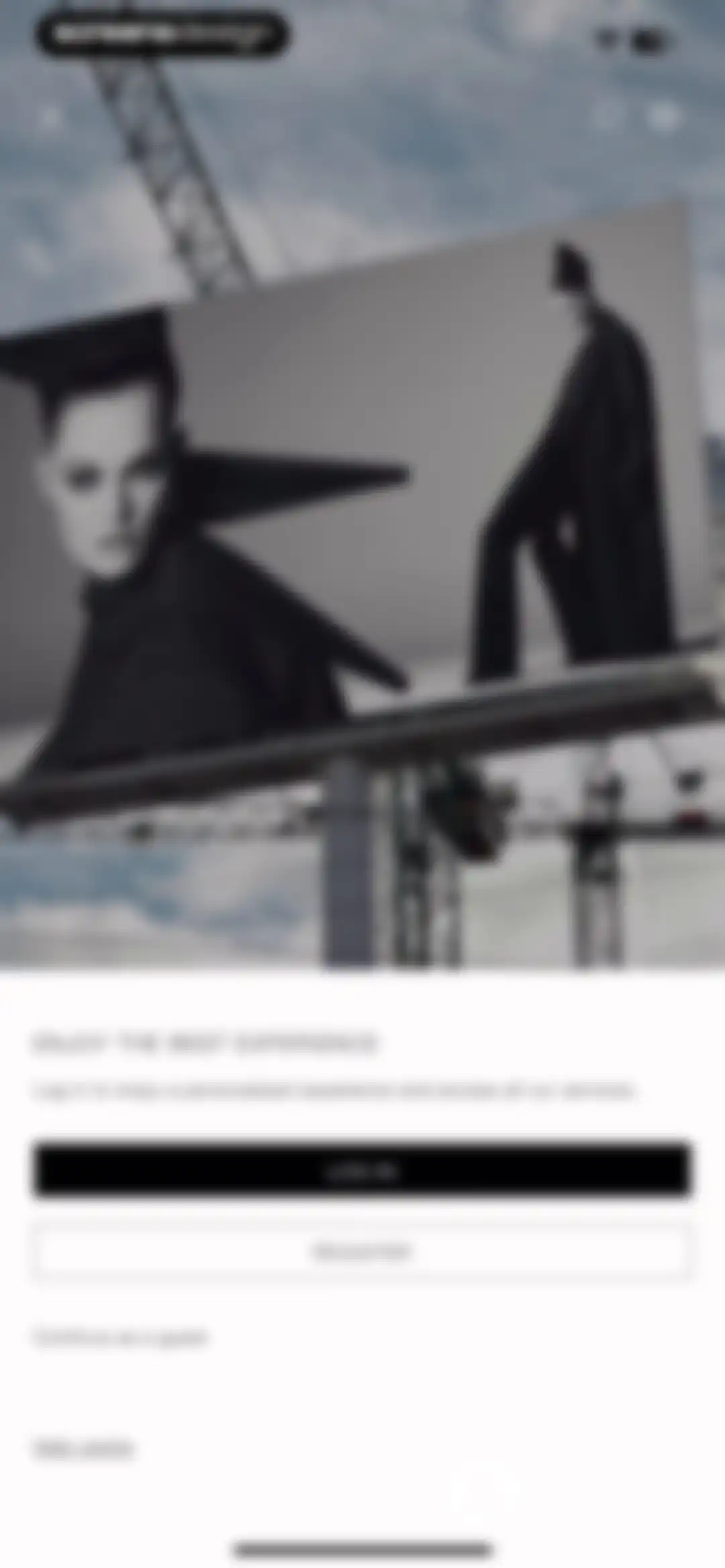 ZARA screen 133