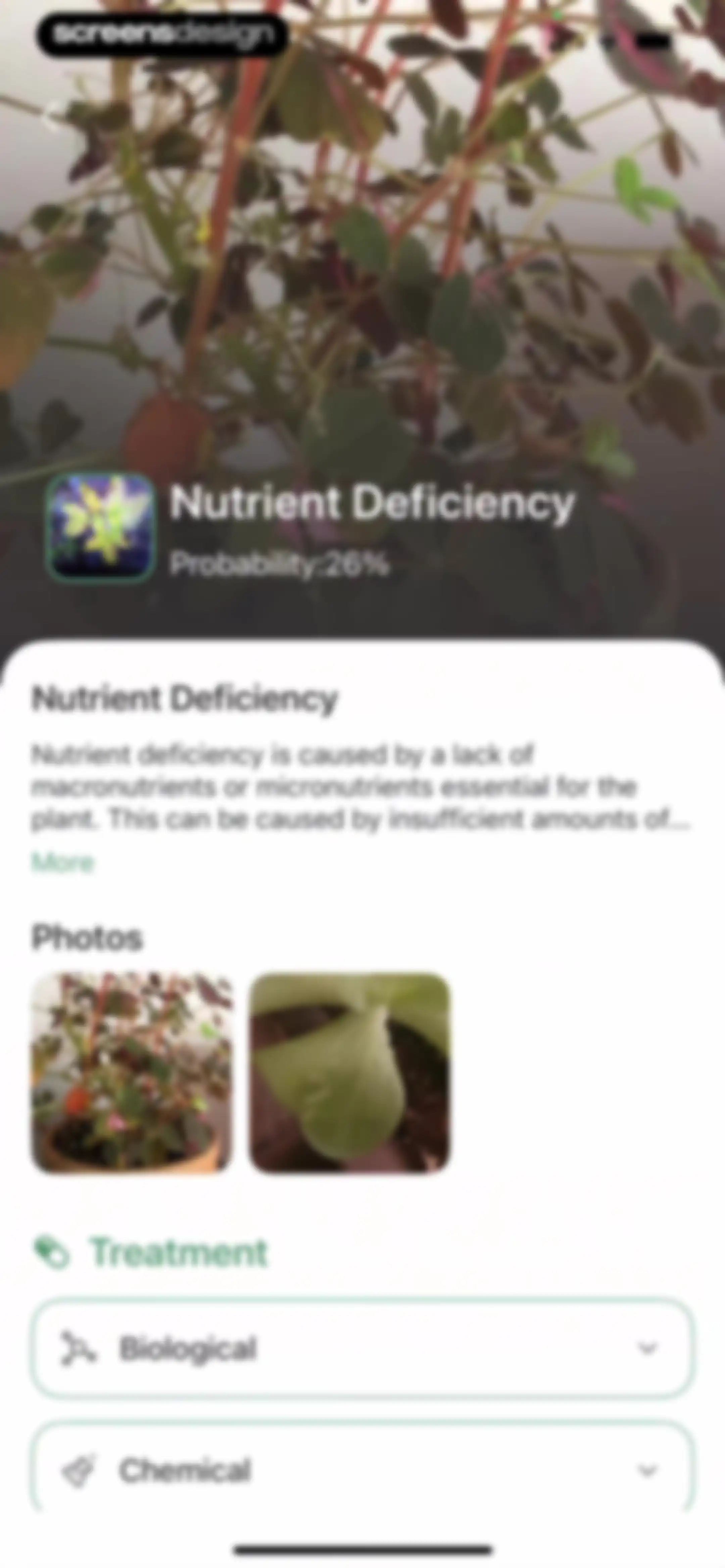 Verde Finder : identify plants screen 50