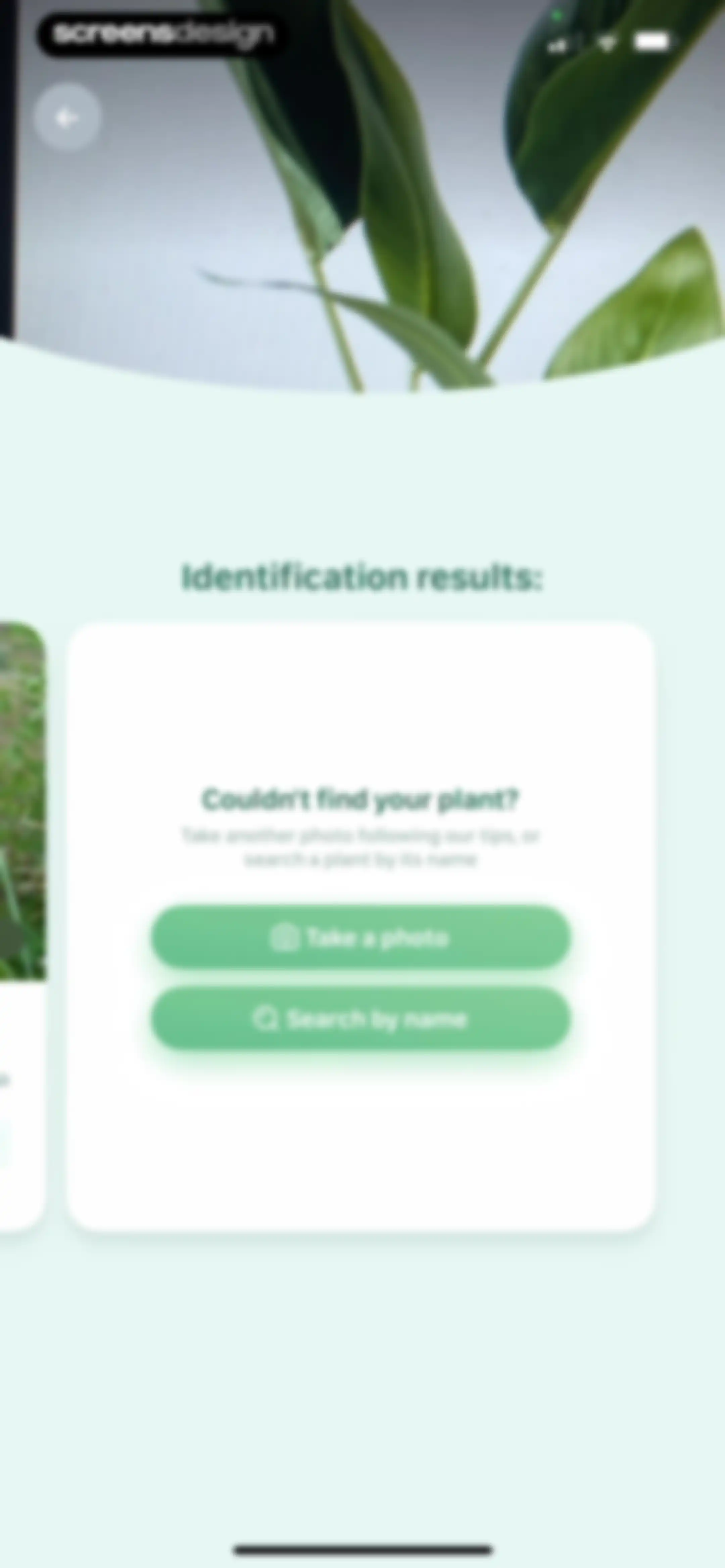 Blossom - Plant Care Guide screen 101