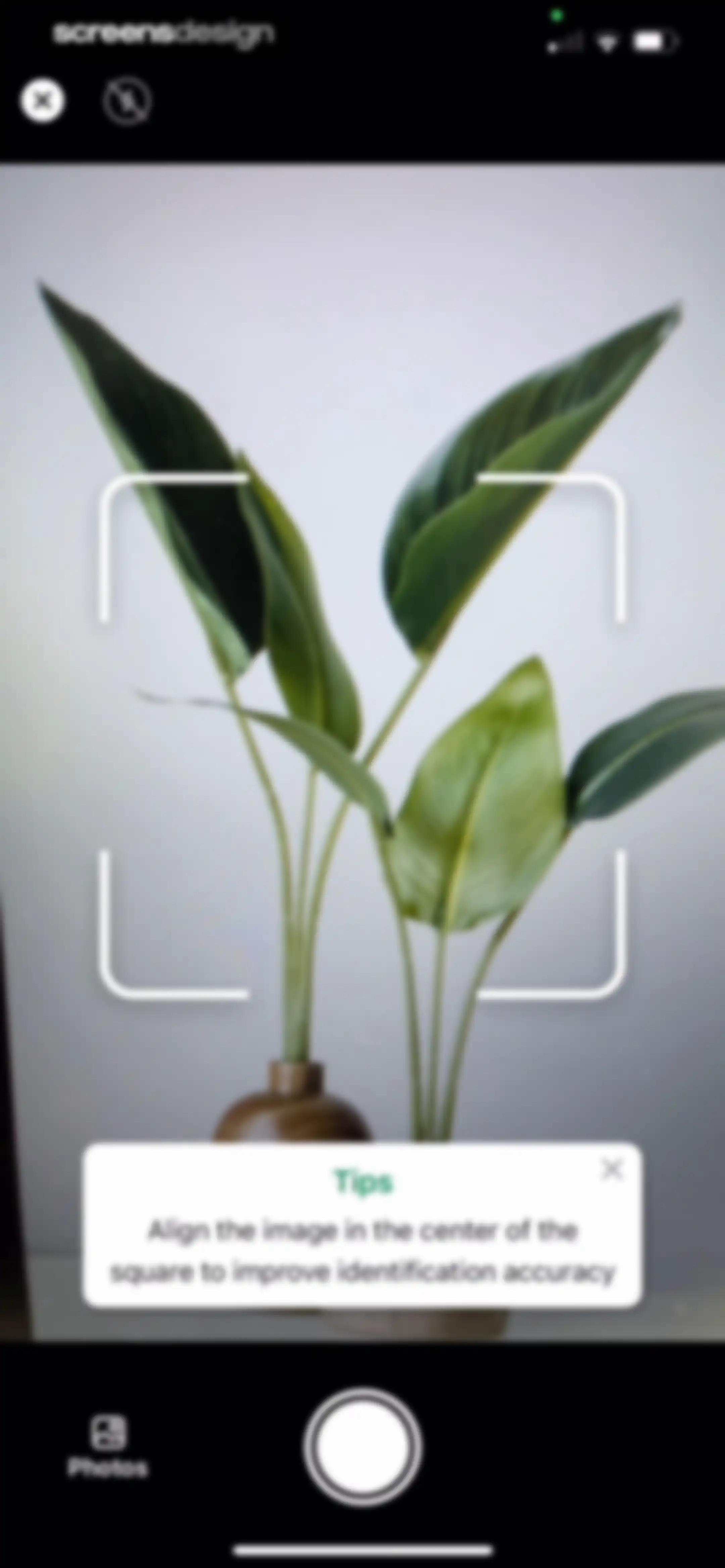 Identify My Plant Now screen 27