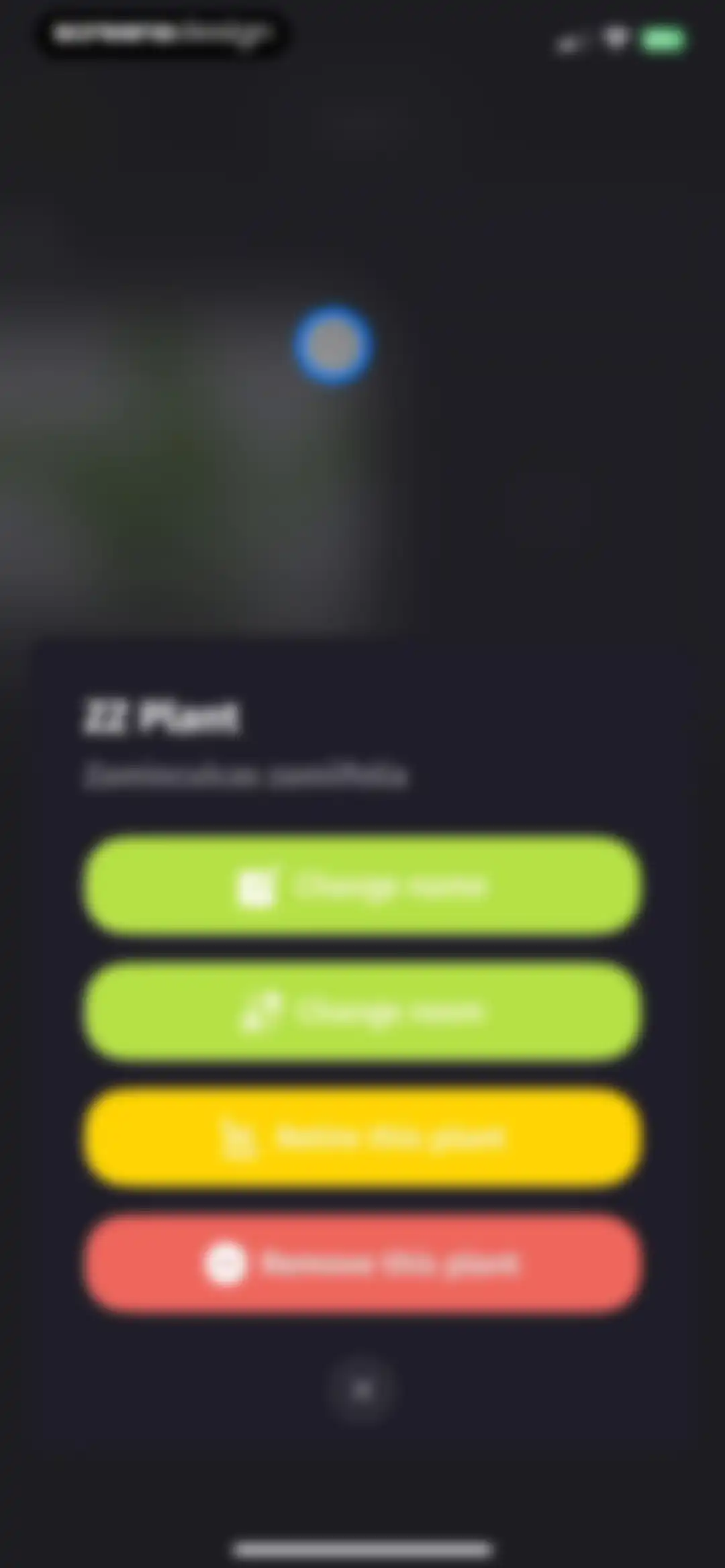 Plantion - Plant Identifier screen 50