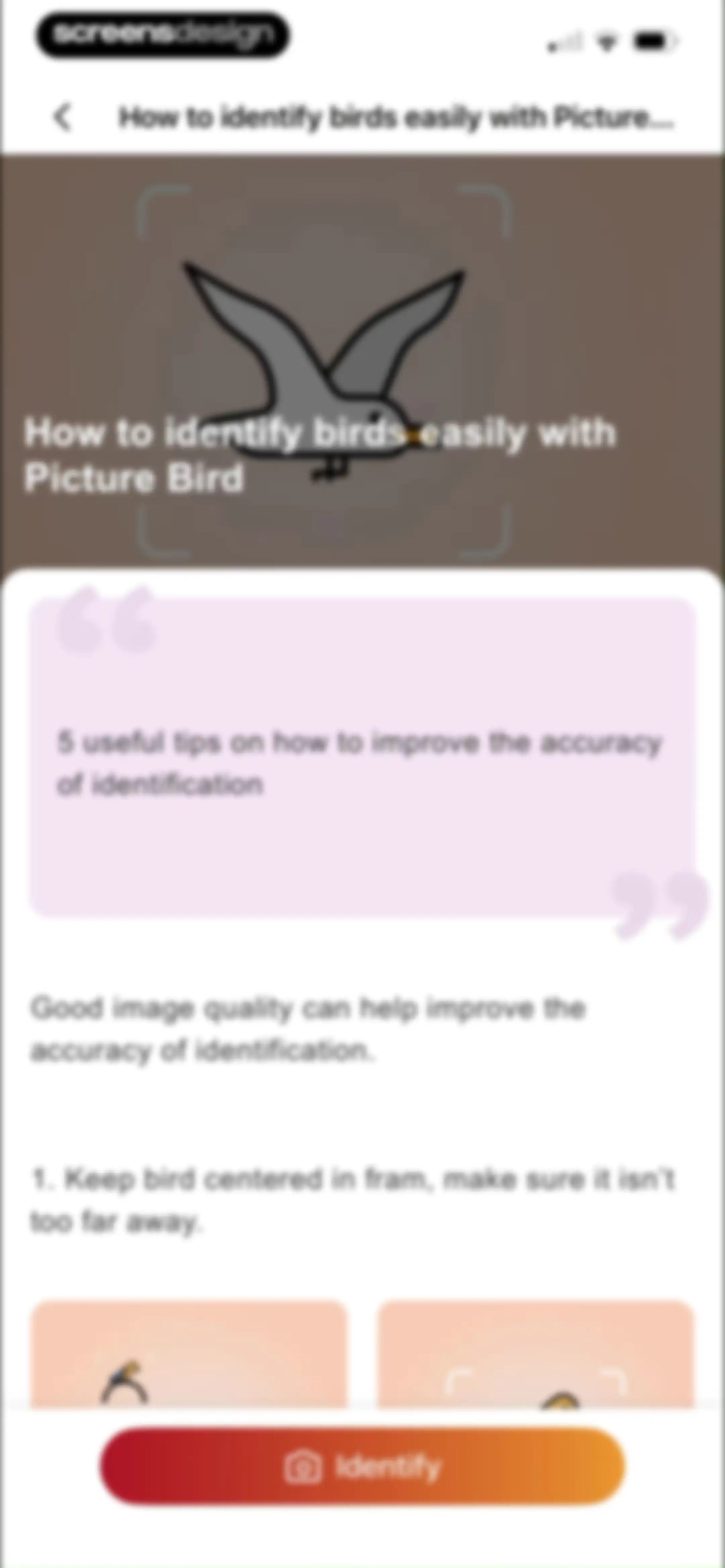 Picture Bird: Bird identifier screen 90