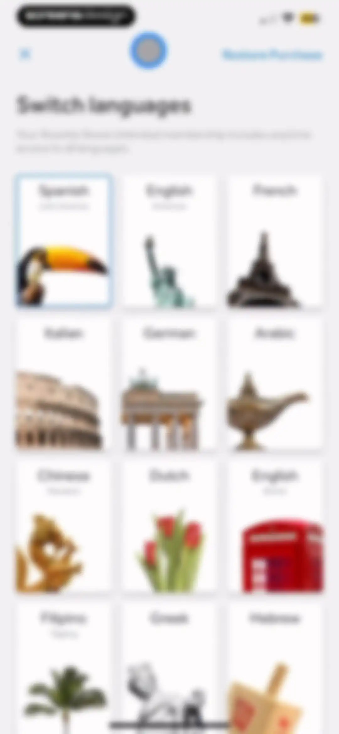 Rosetta Stone Classic (2024) screen 28