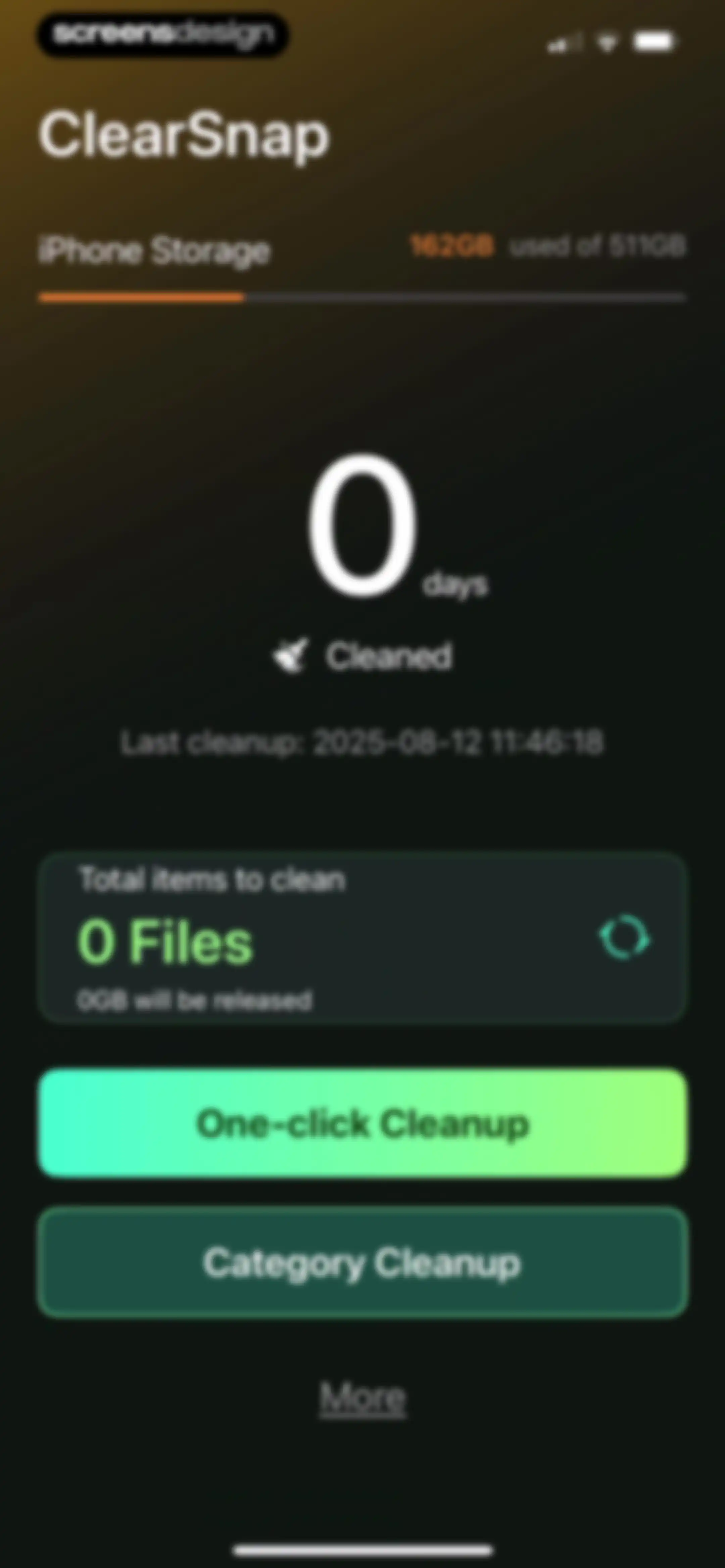 ClearSnap-Clean Up Storage screen 12