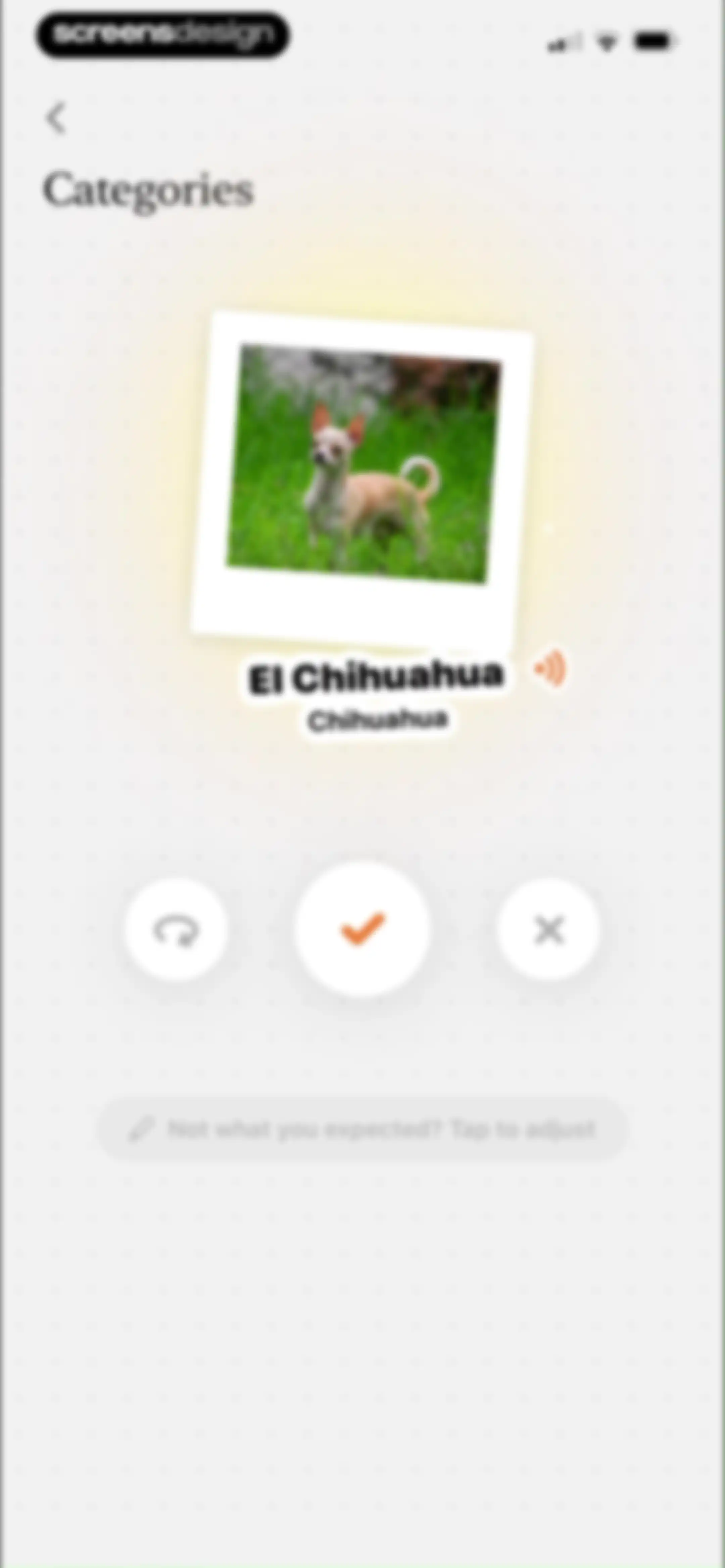 CapWords: AI Language Tutor screen 46