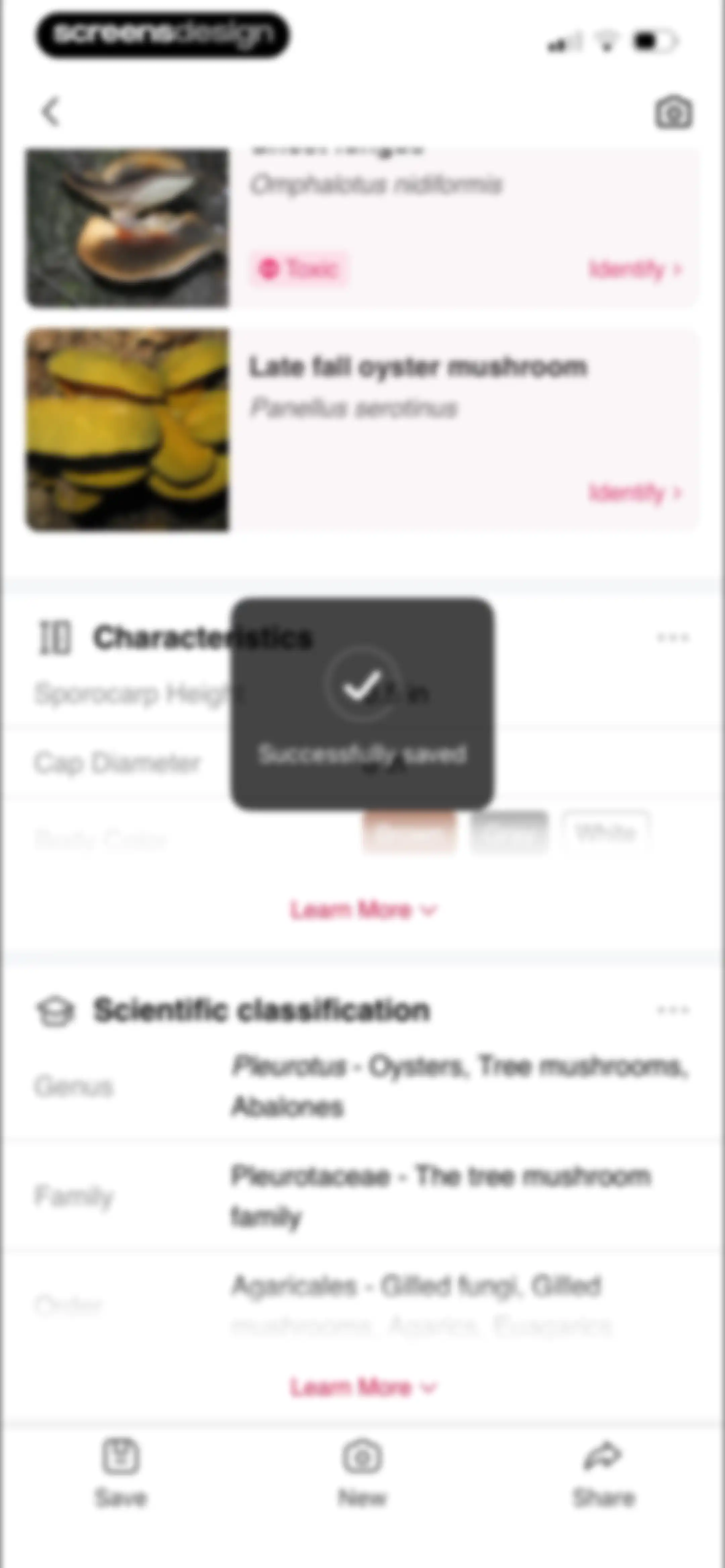 Picture Mushroom: Identifier screen 82
