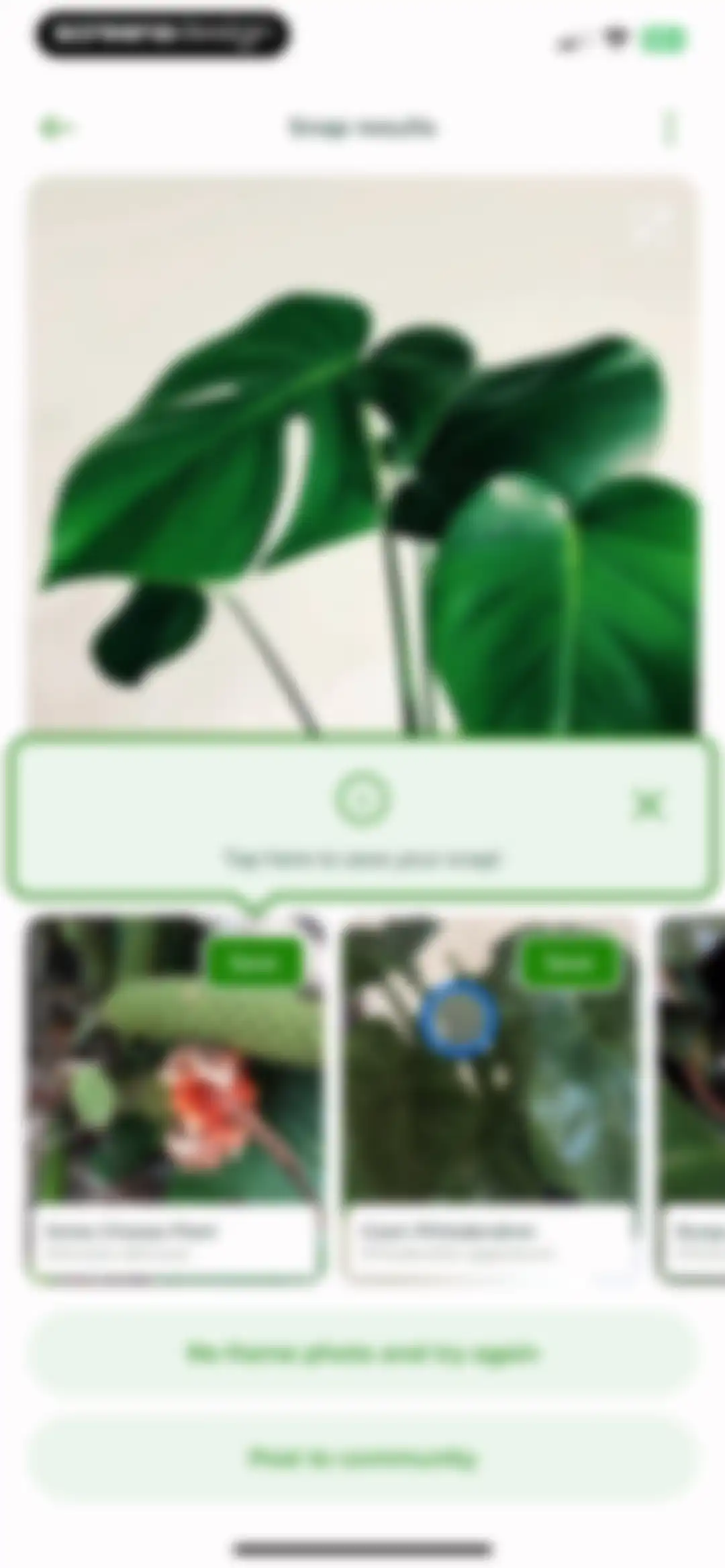 PlantSnap - Plant Scanner screen 41