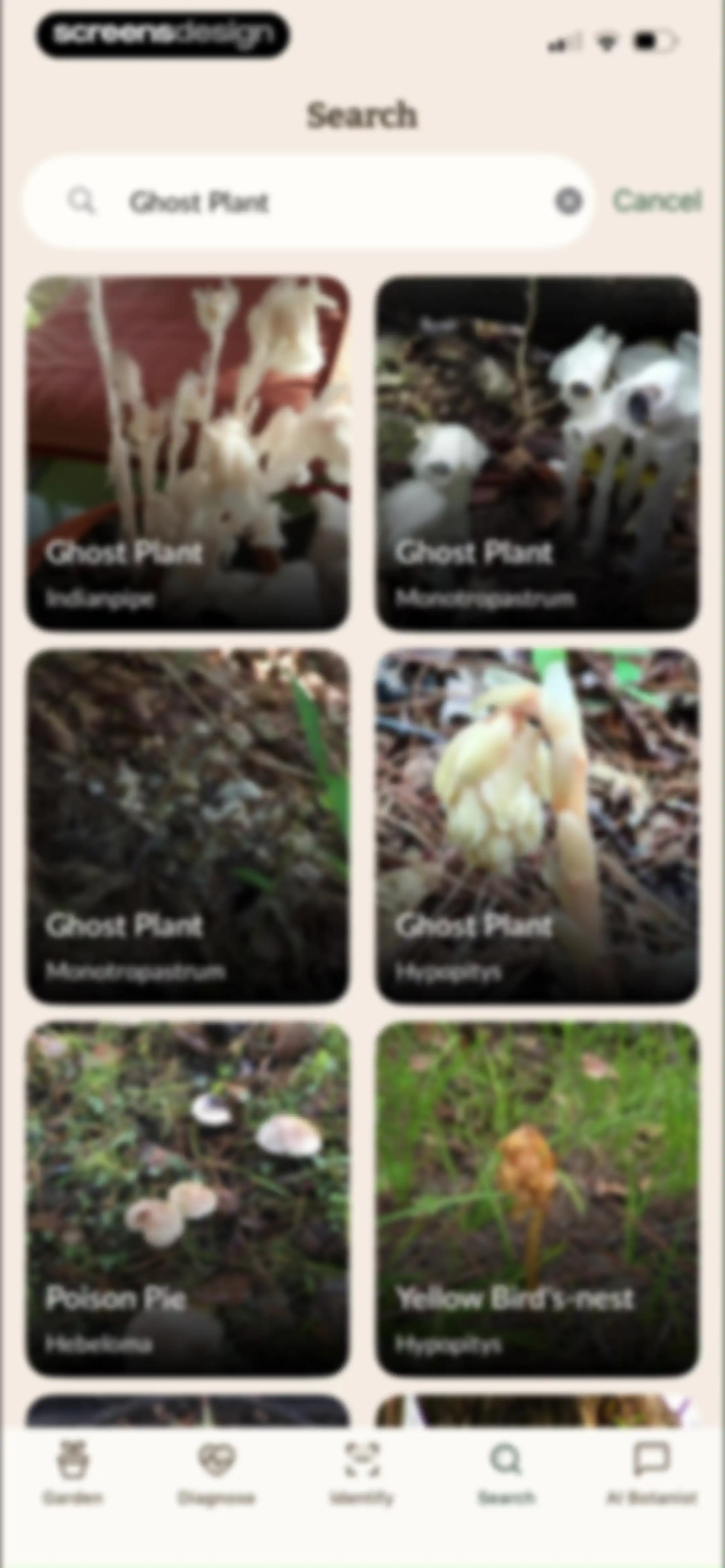 Plant Identification－Plantaria screen 79