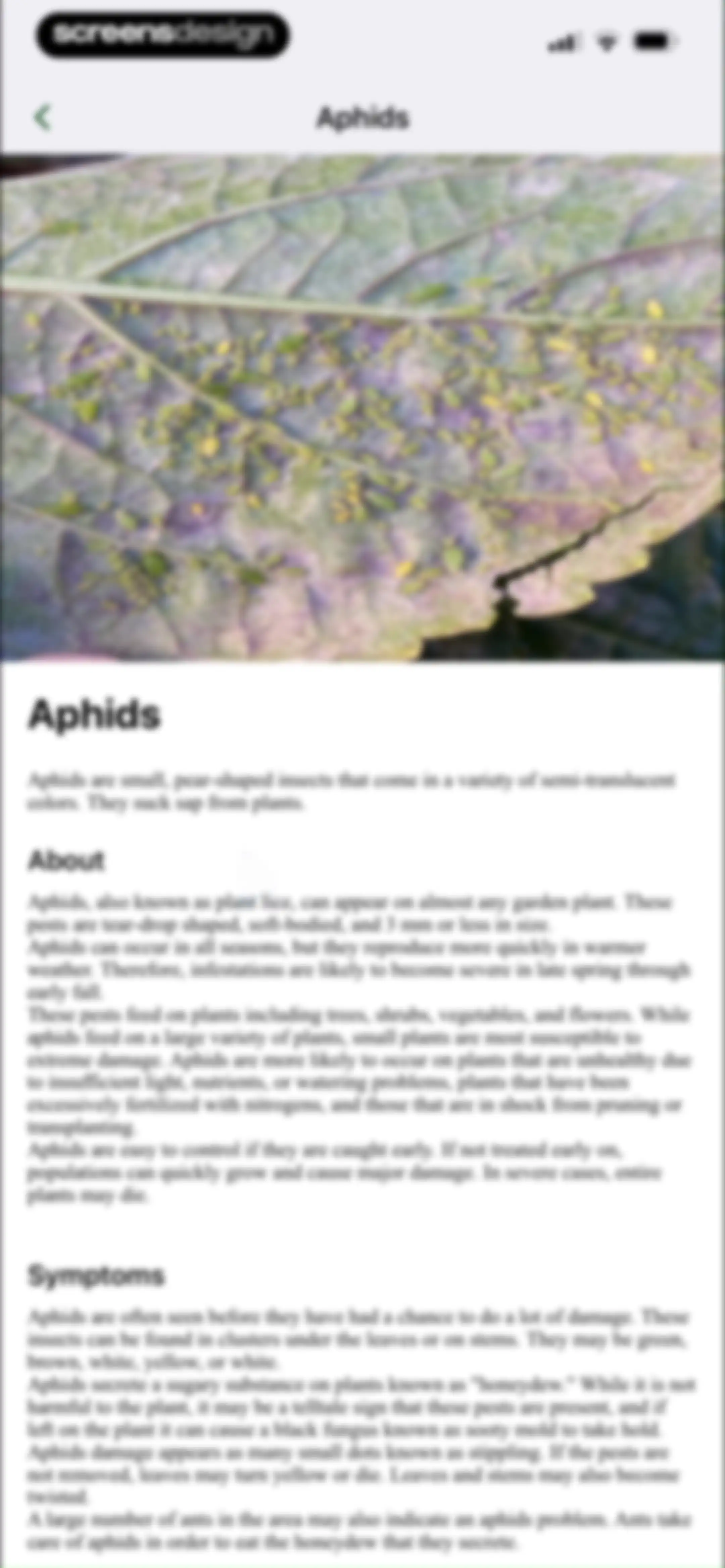 FloraSnap: Plant Scanner screen 80