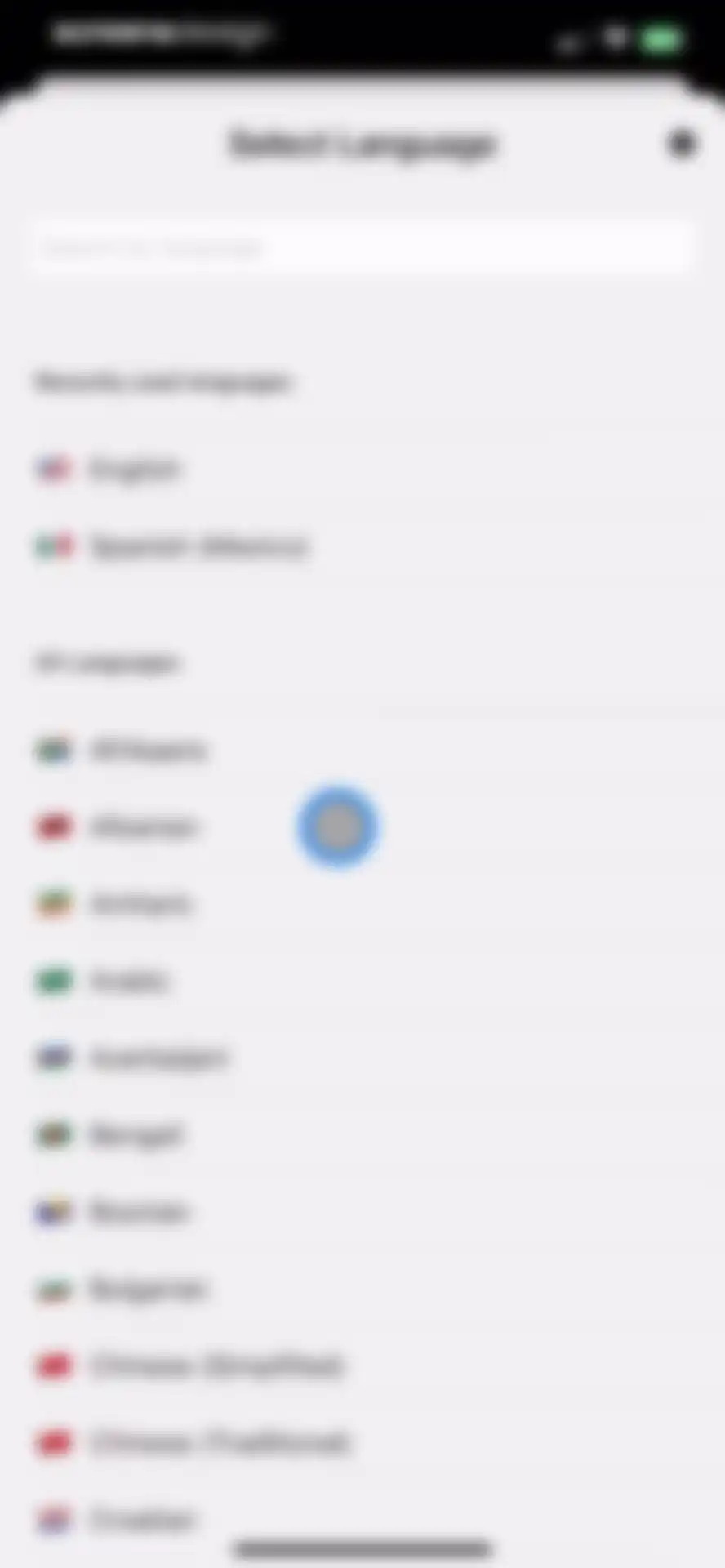 Translate Anything screen 9