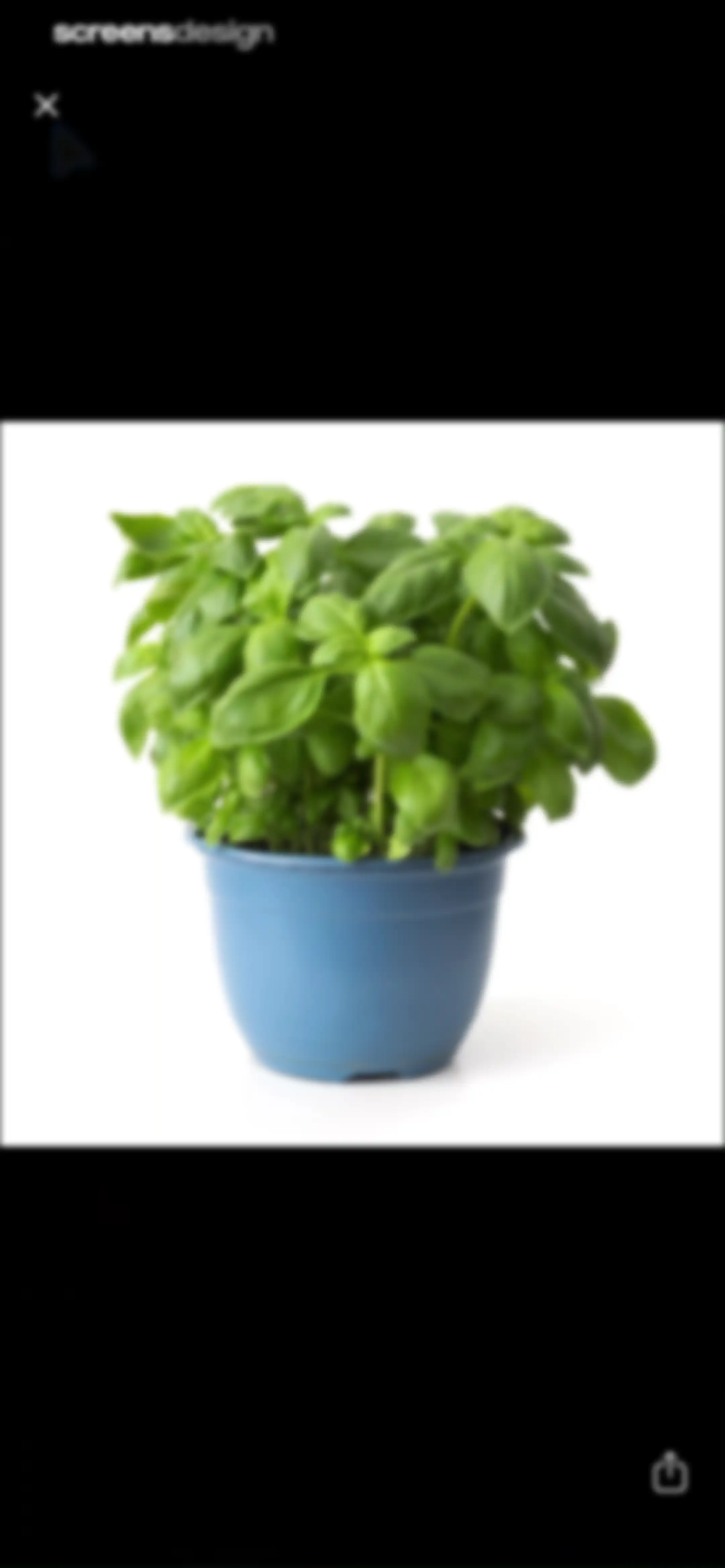Plant Identifier & Plant Care. screen 116
