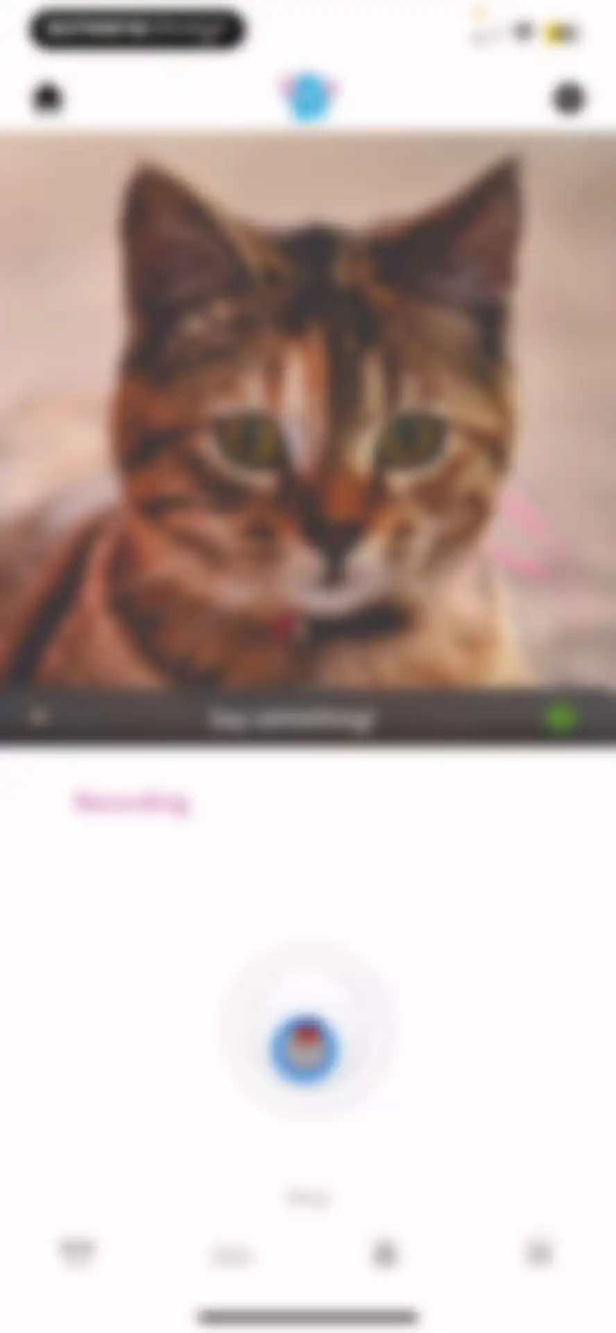 My Talking Pet screen 29