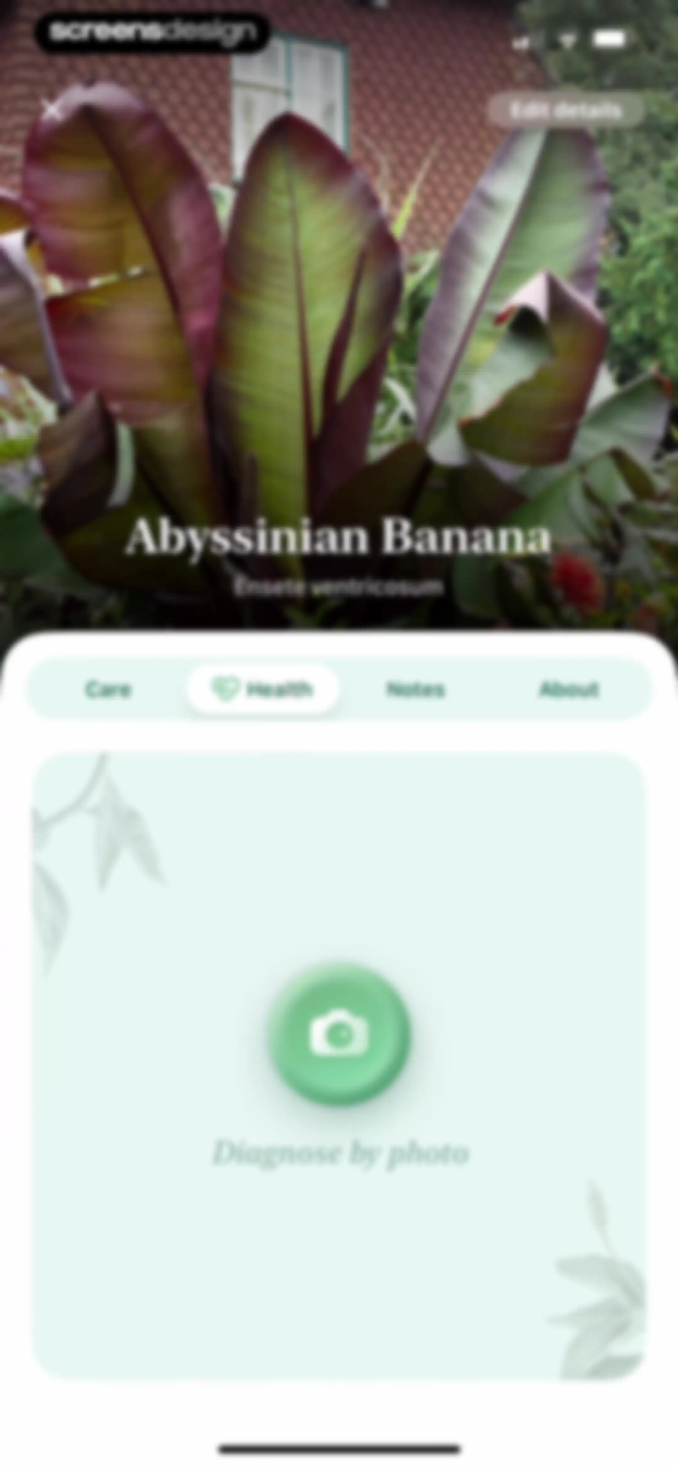 Blossom - Plant Care Guide screen 67