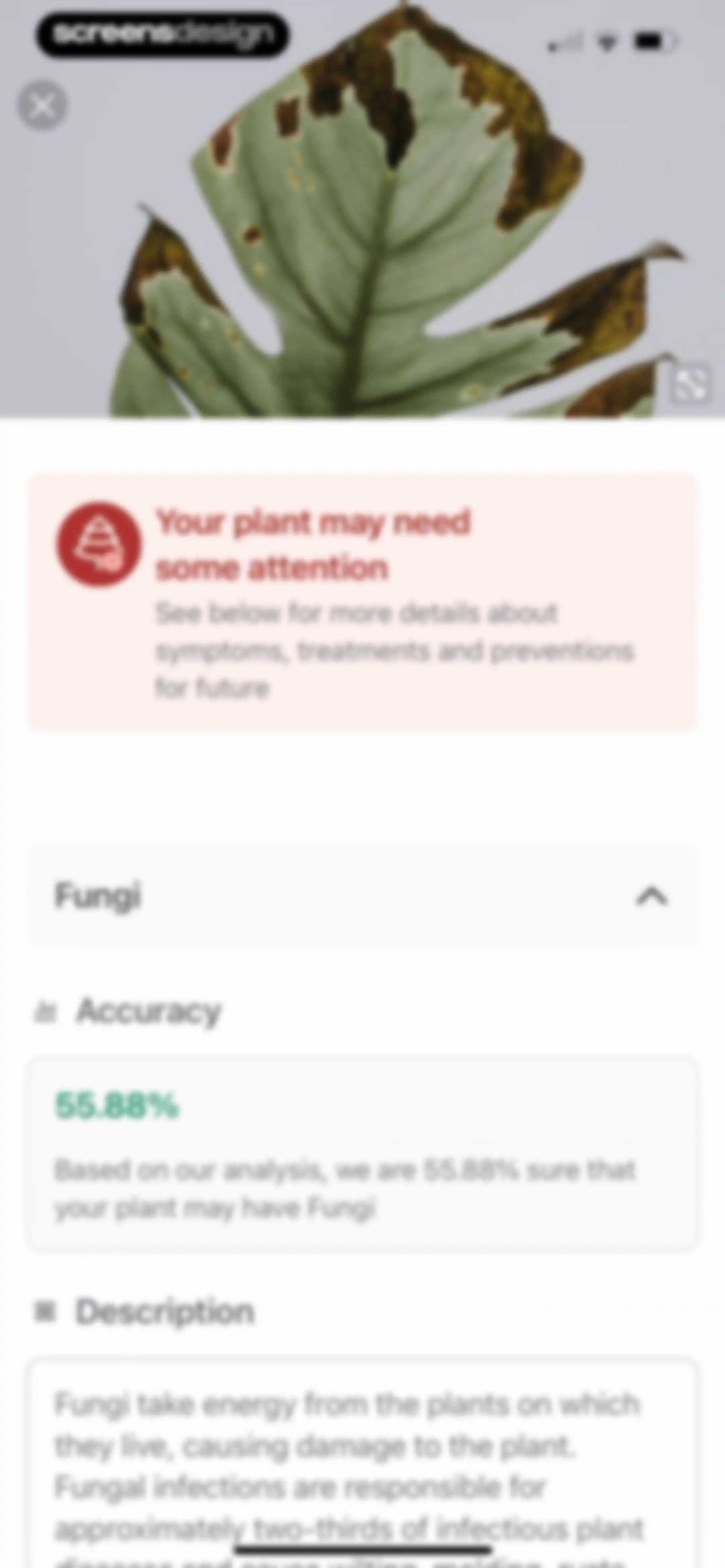 Identify My Plant Now screen 47